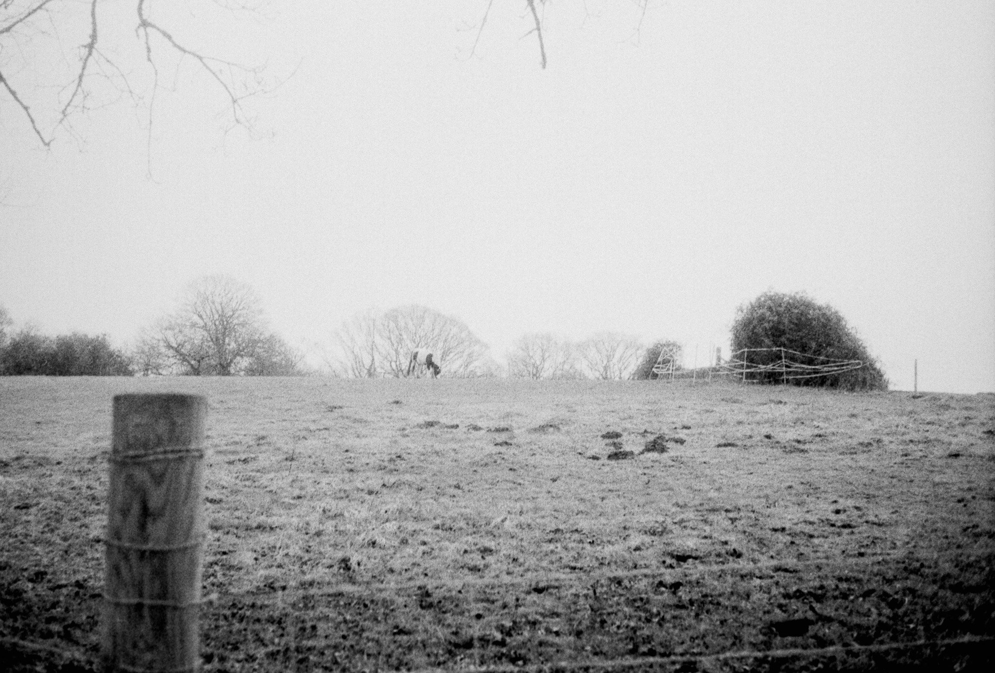 Slide Scan (228).jpg