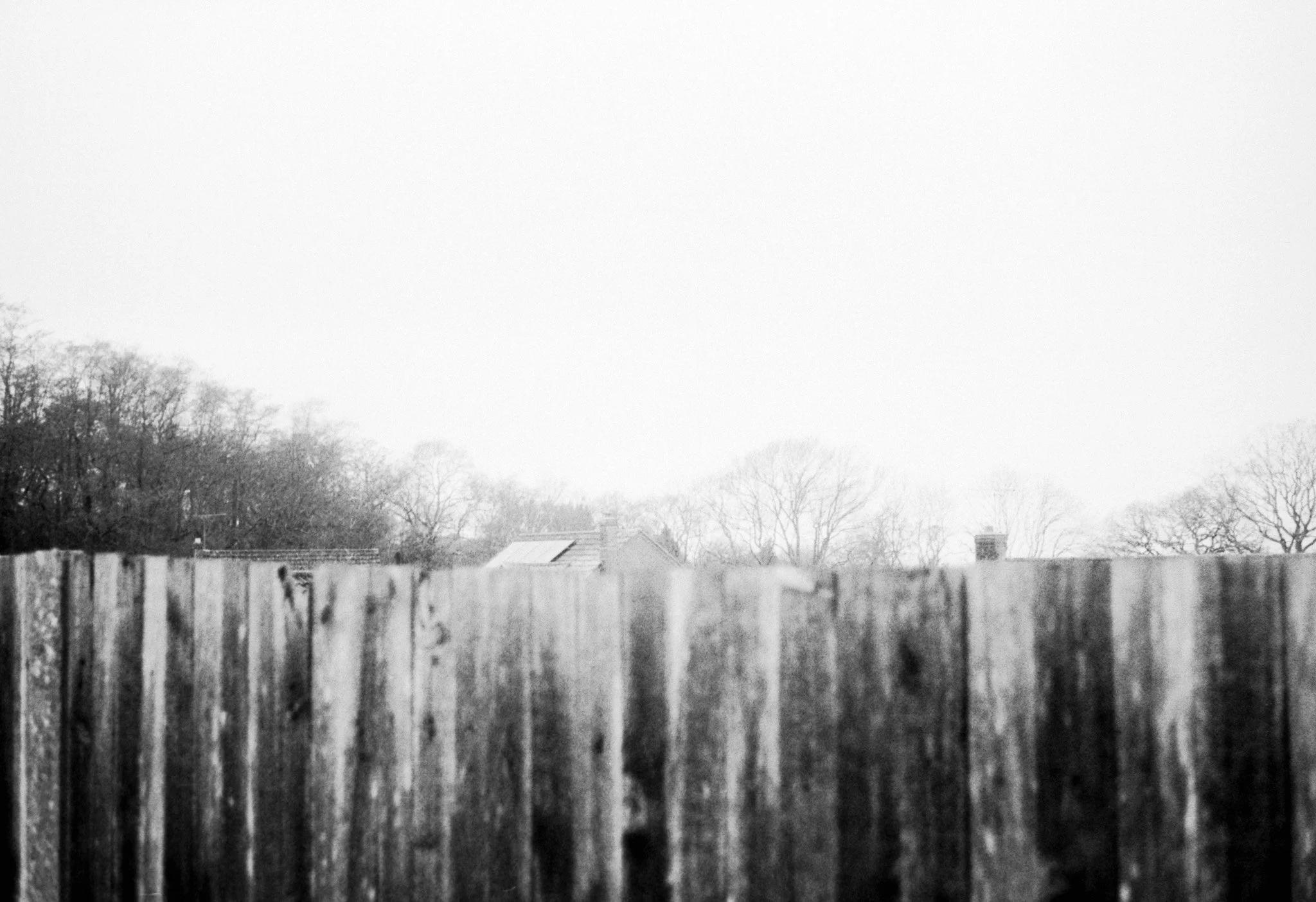 Slide Scan (225).jpg