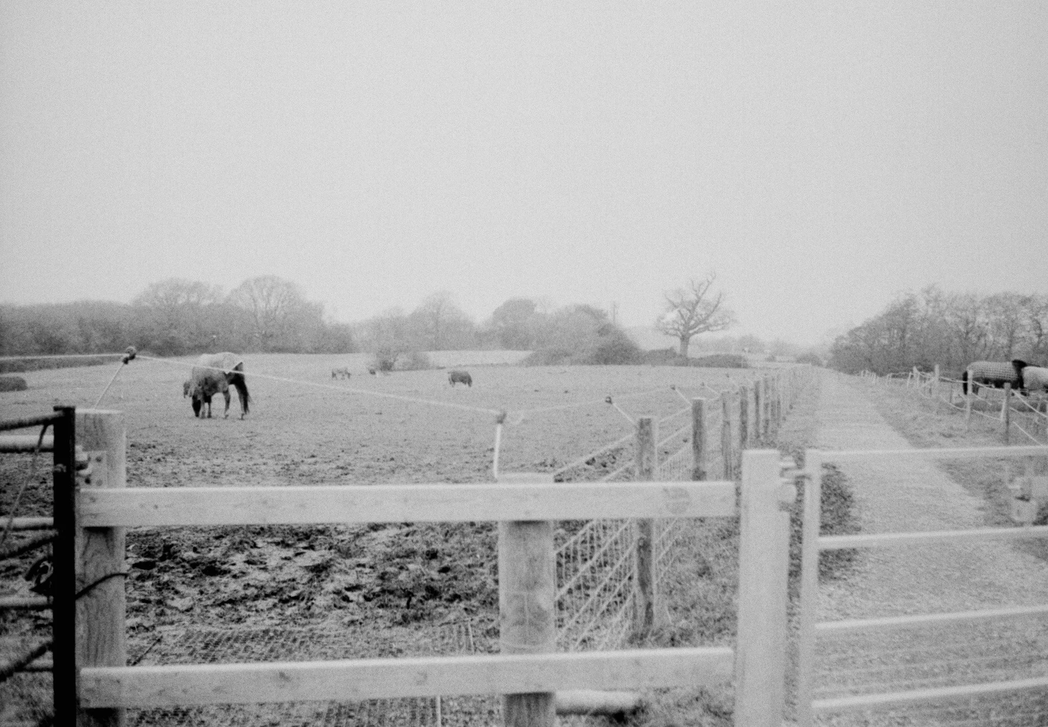 Slide Scan (242).jpg