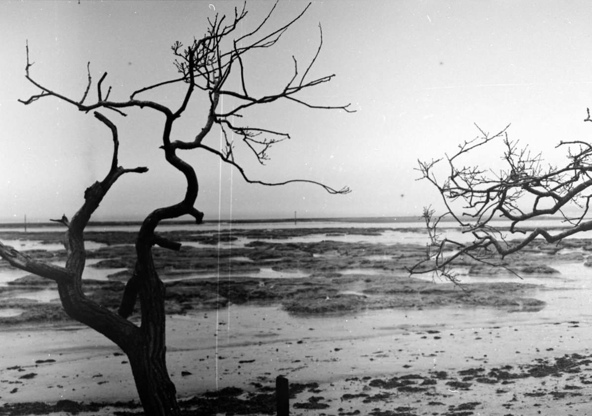 Ilford XP1 400 expired 1999