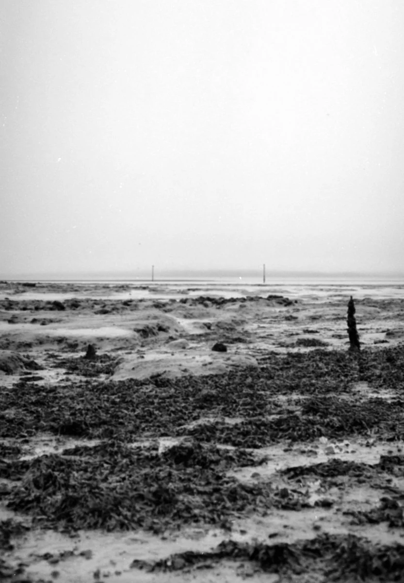 Ilford XP1 400 expired 1999