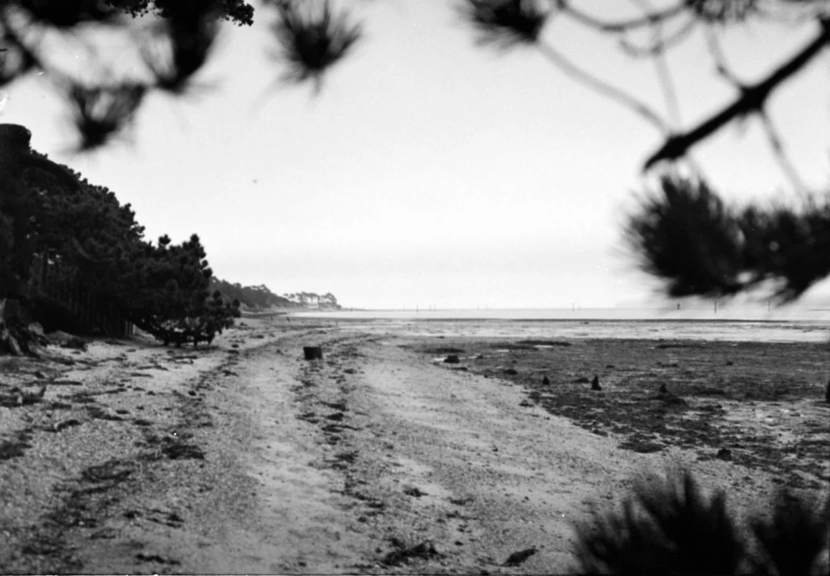 Ilford XP1 400 expired 1999