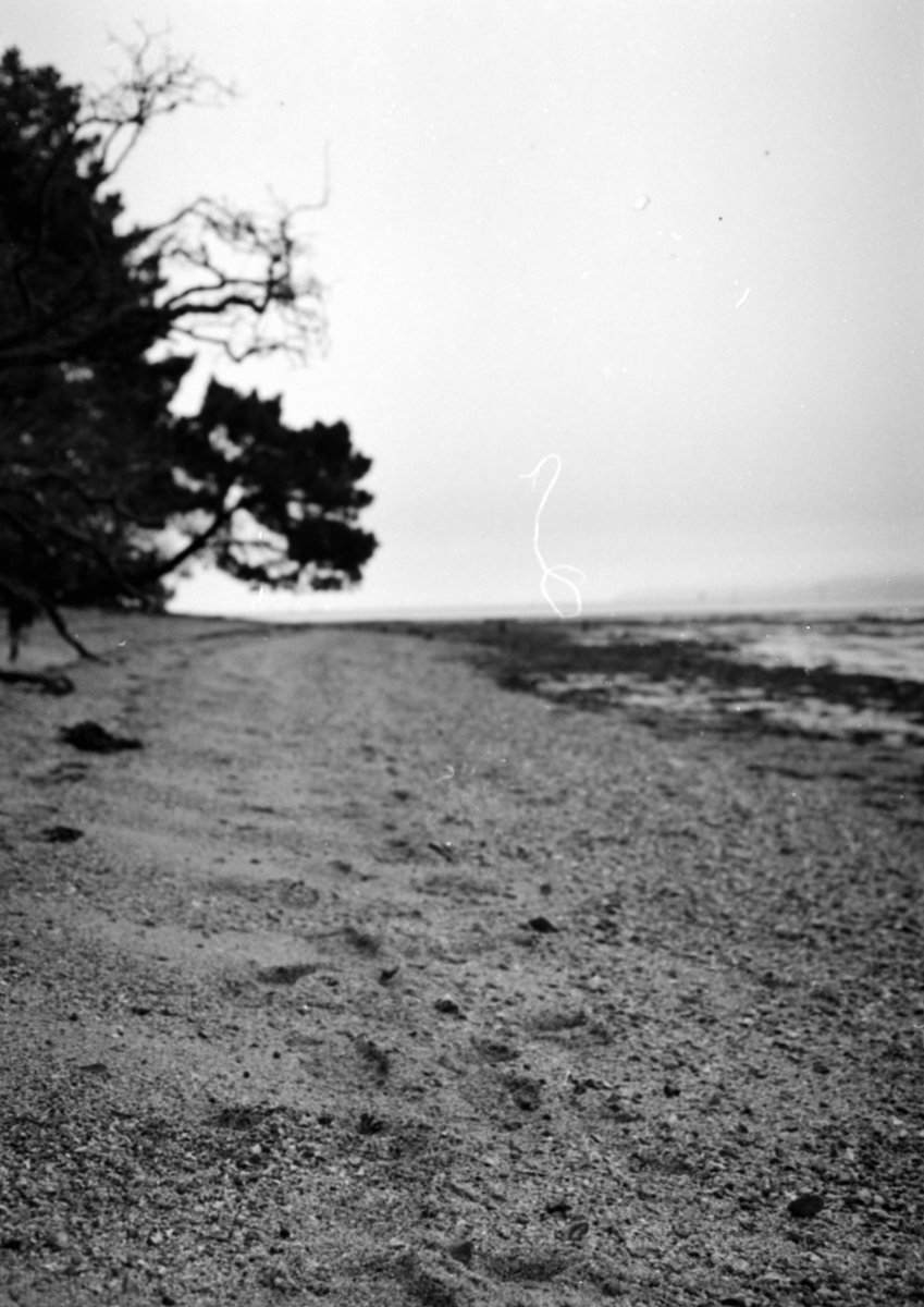 Ilford XP1 400 expired 1999