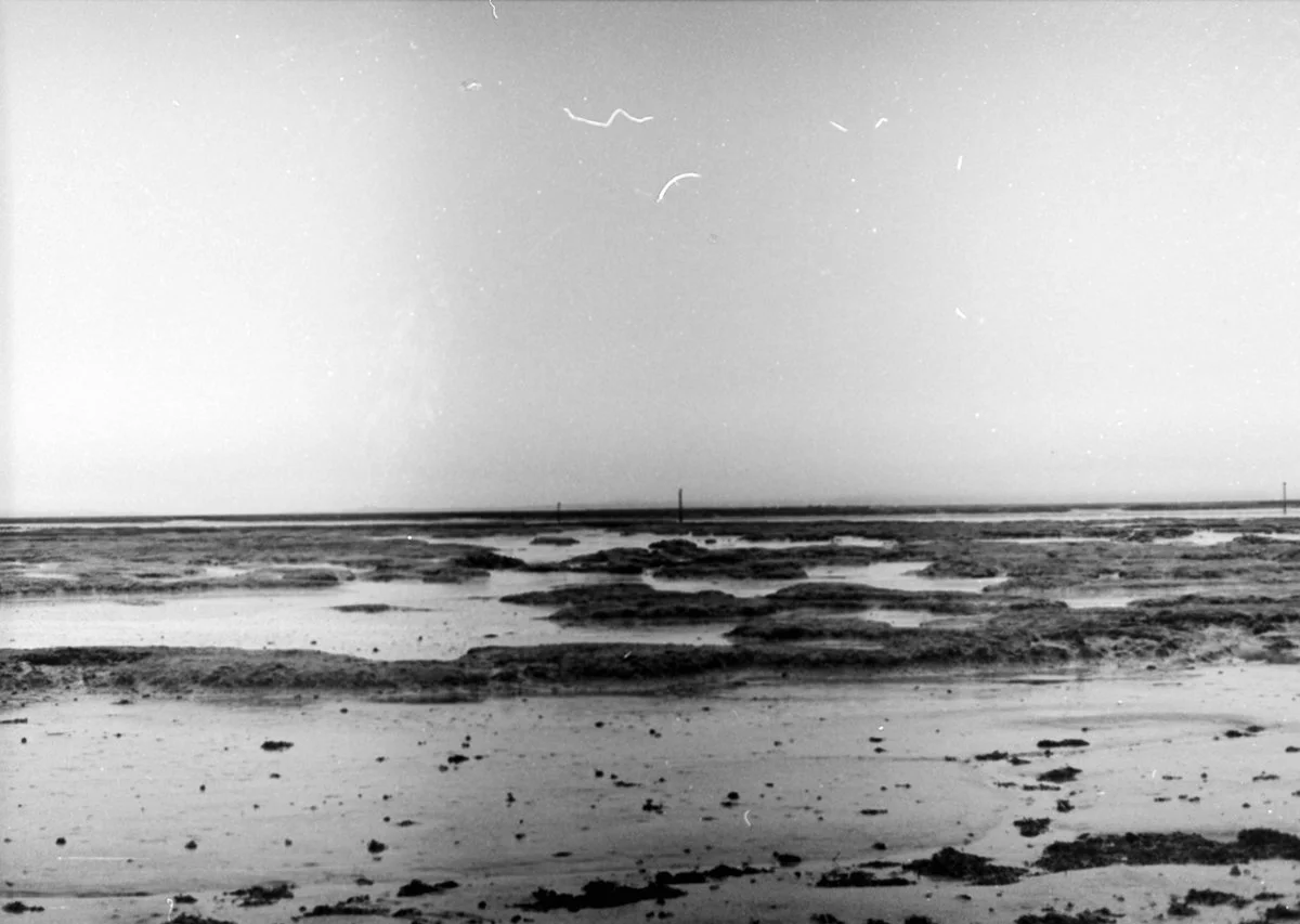 Ilford XP1 400 expired 1999