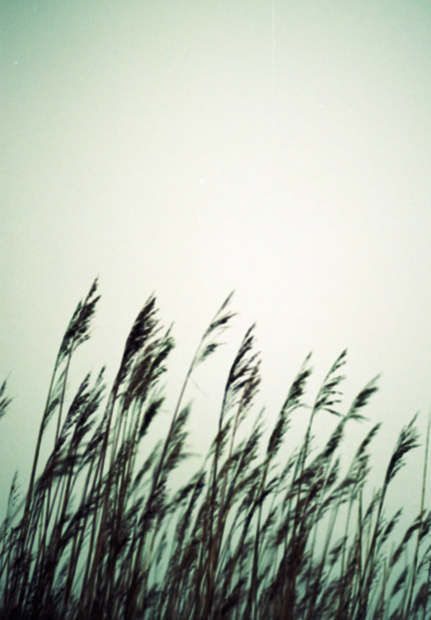 Slide Scan (2).jpg