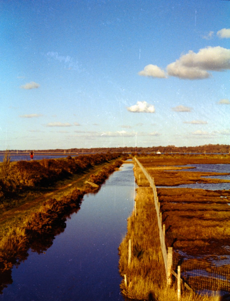 35mm color film photo using RETO Amber D100 film
