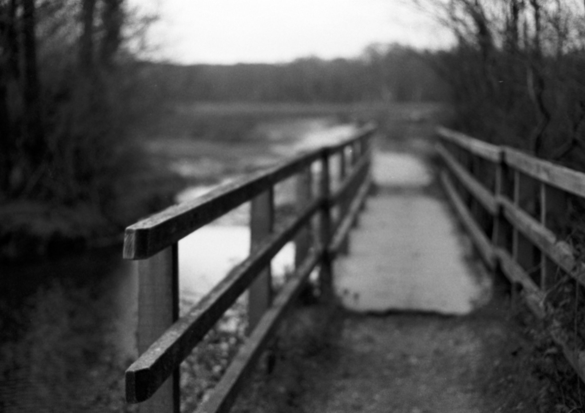 example film image shot on Rollei RPX 400