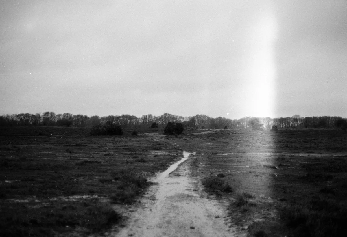 Slide Scan (198).jpg