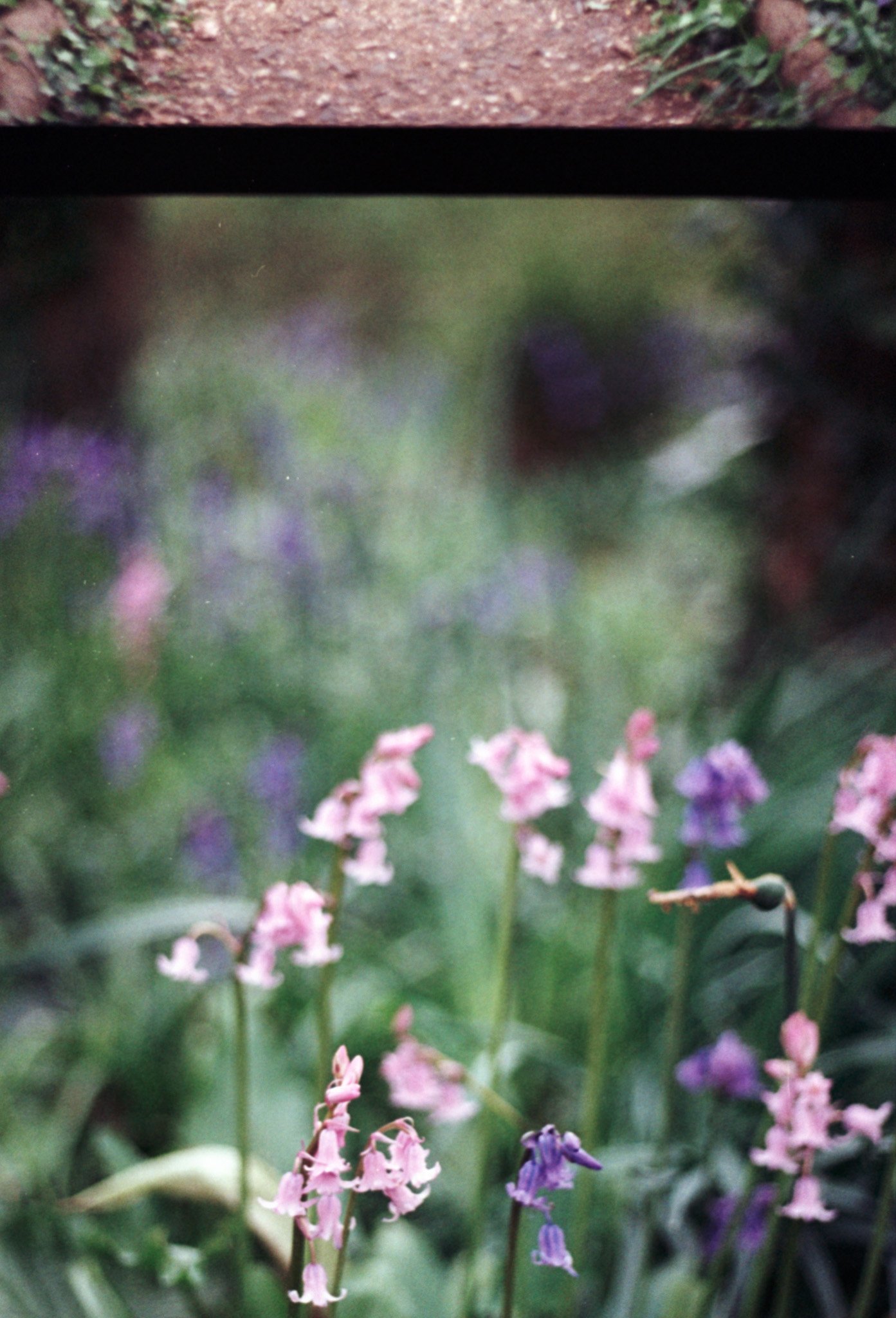 Slide Scan (255).jpg