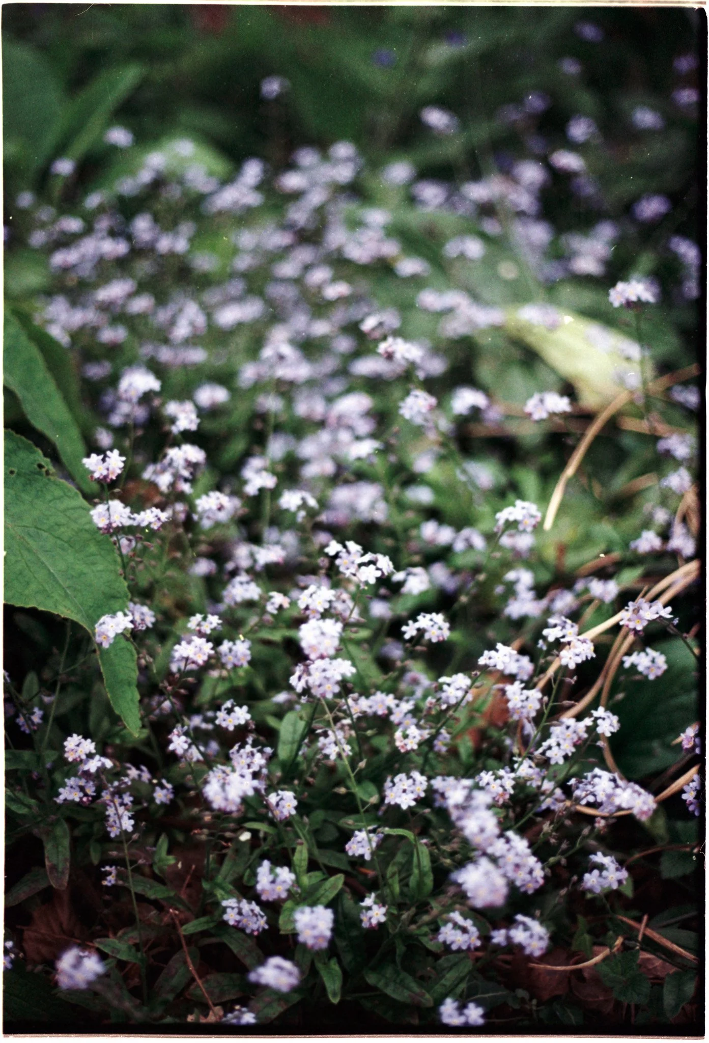 Slide Scan (252).jpg