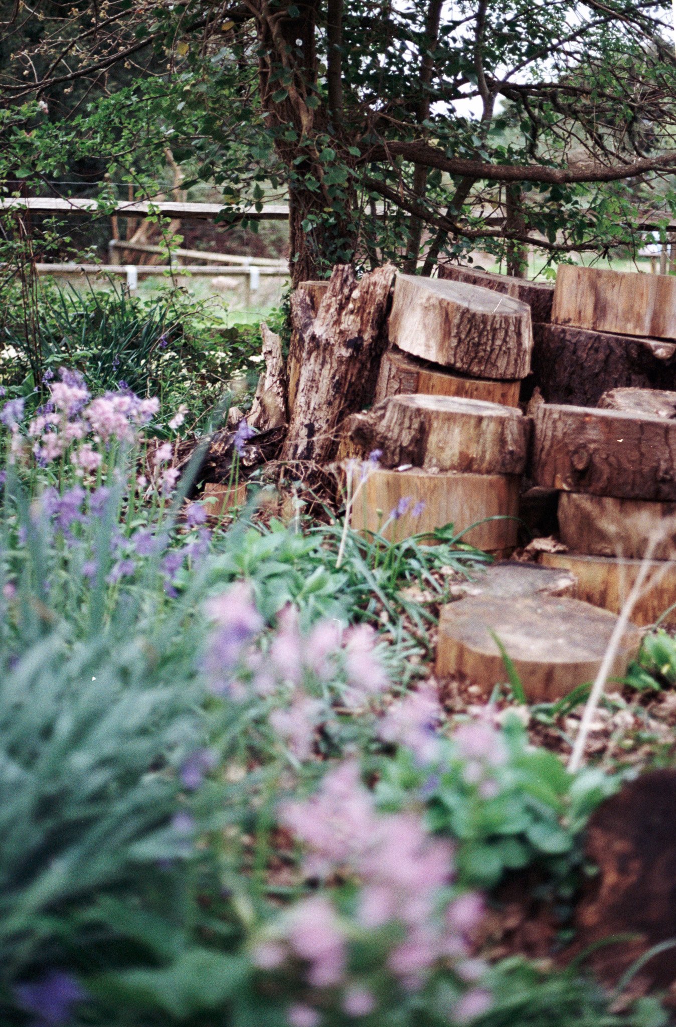 Slide Scan (243).jpg