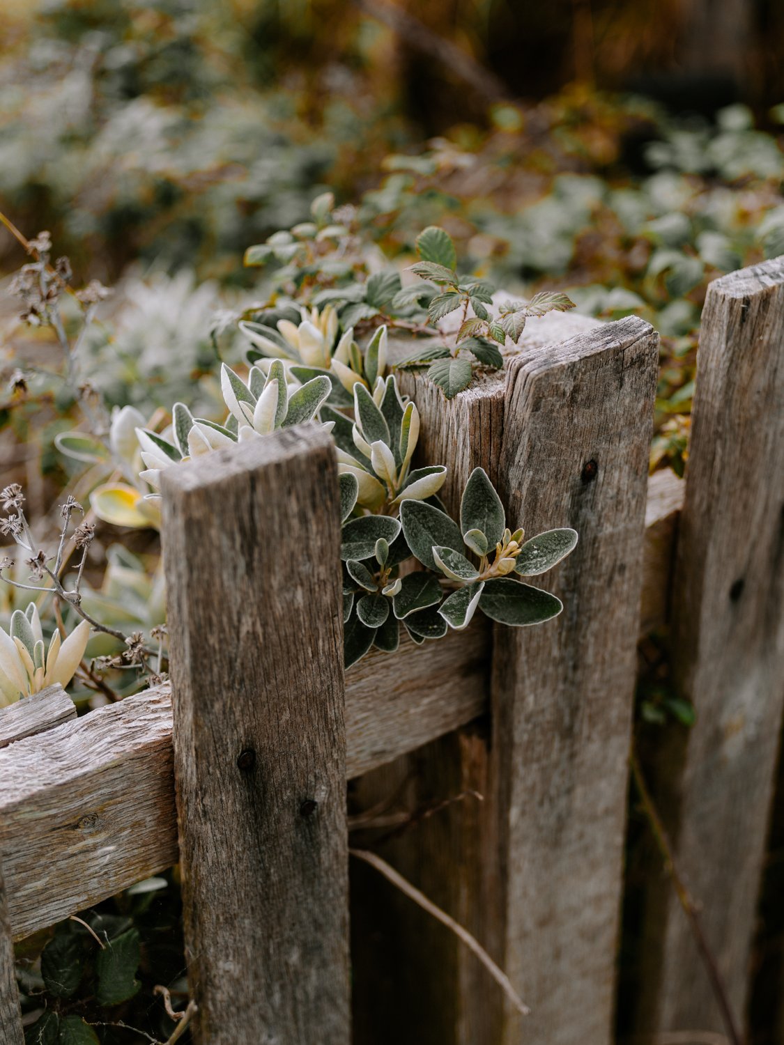 lepe with the pentax 645Z-22.jpg