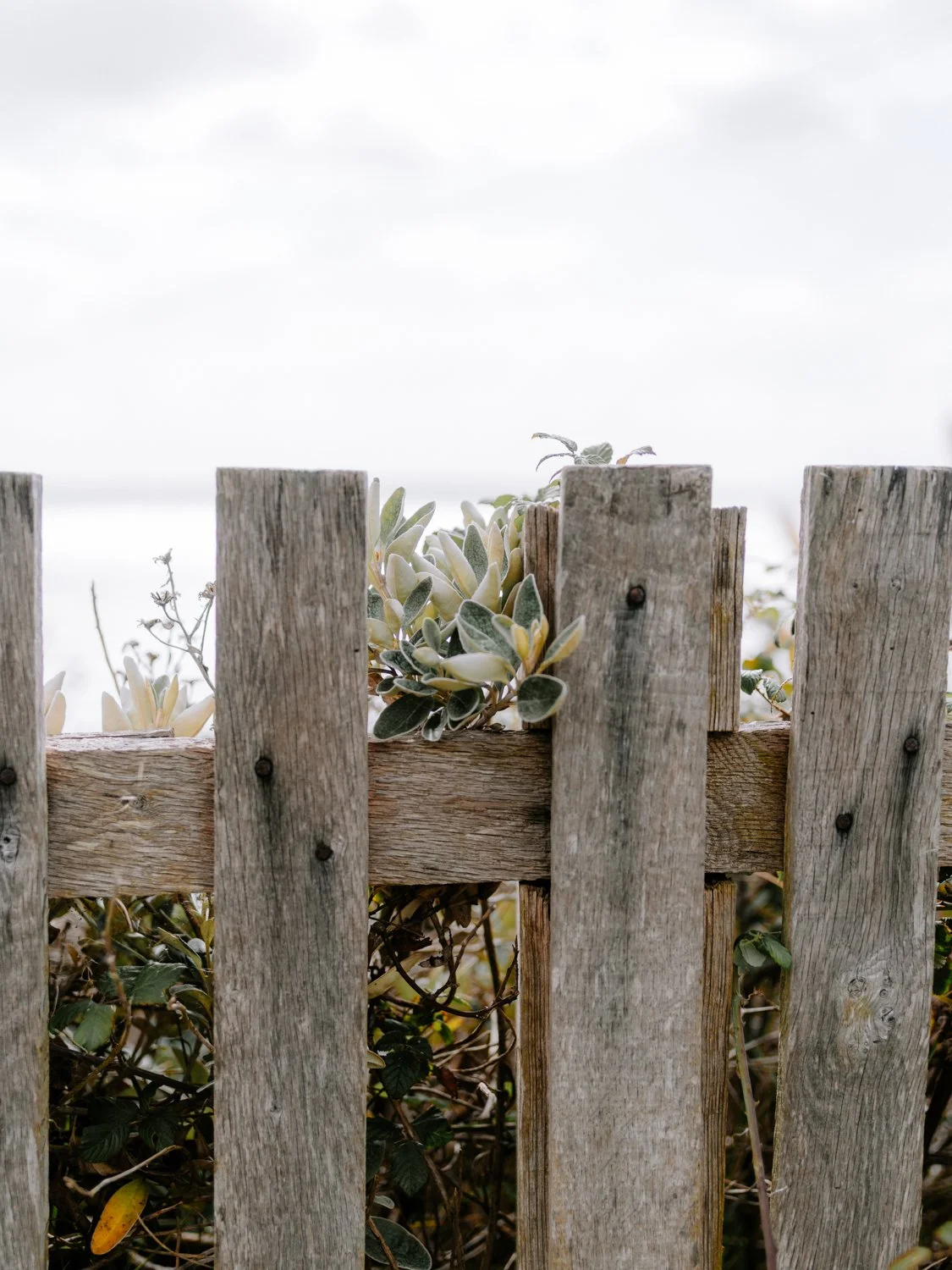 lepe with the pentax 645Z-24.jpg