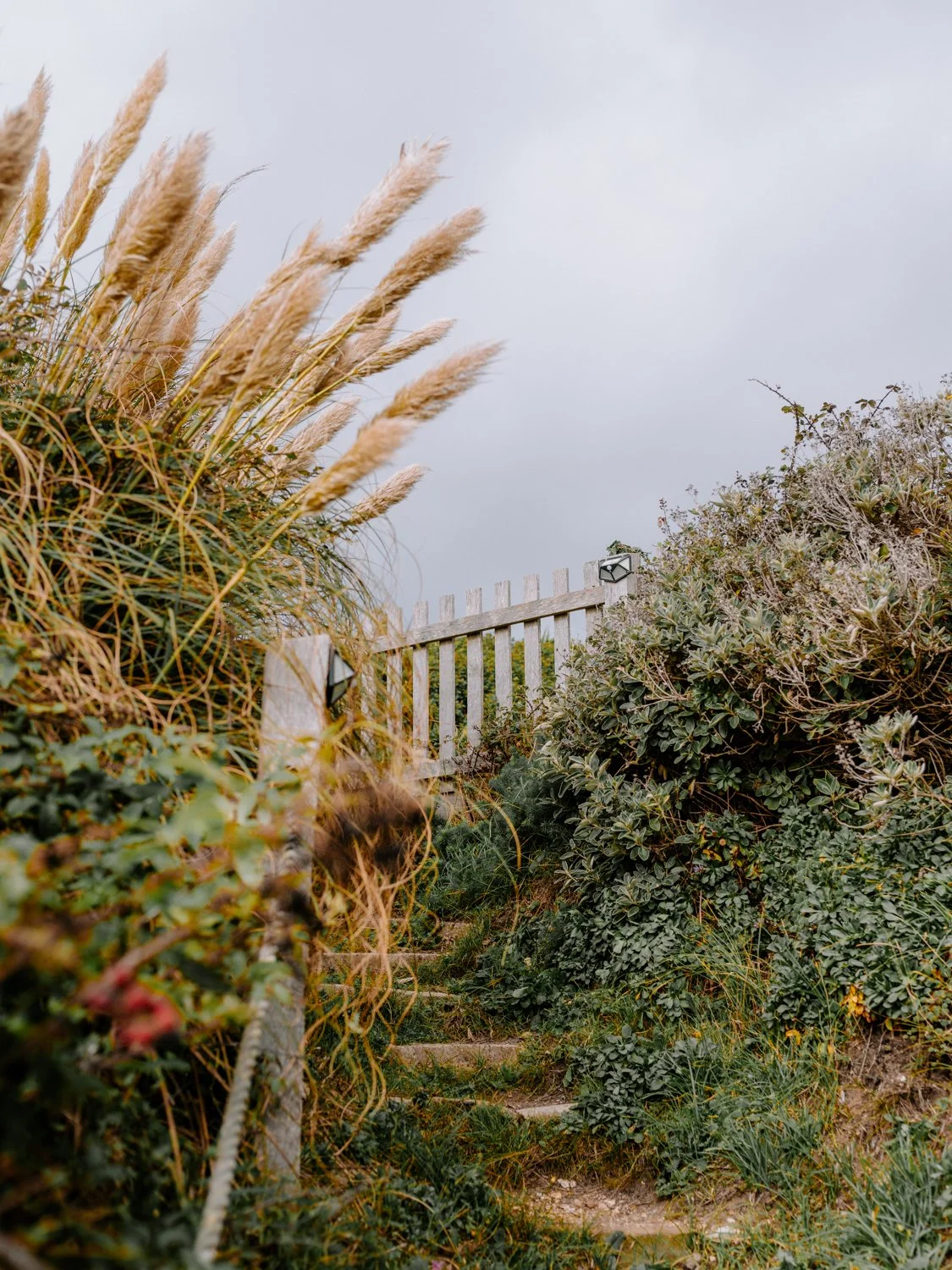 lepe with the pentax 645Z-32.jpg