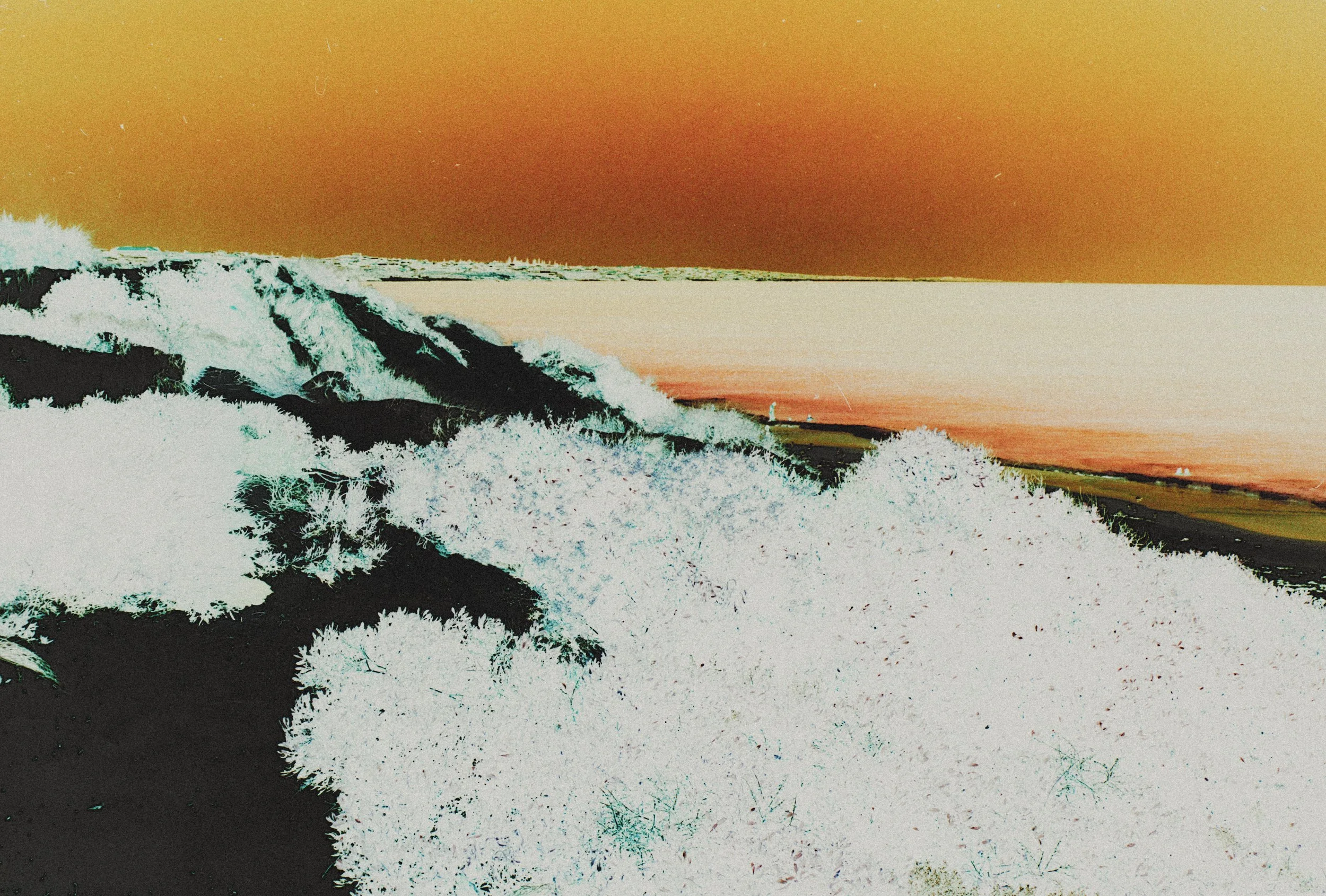 Untitled (135).jpg