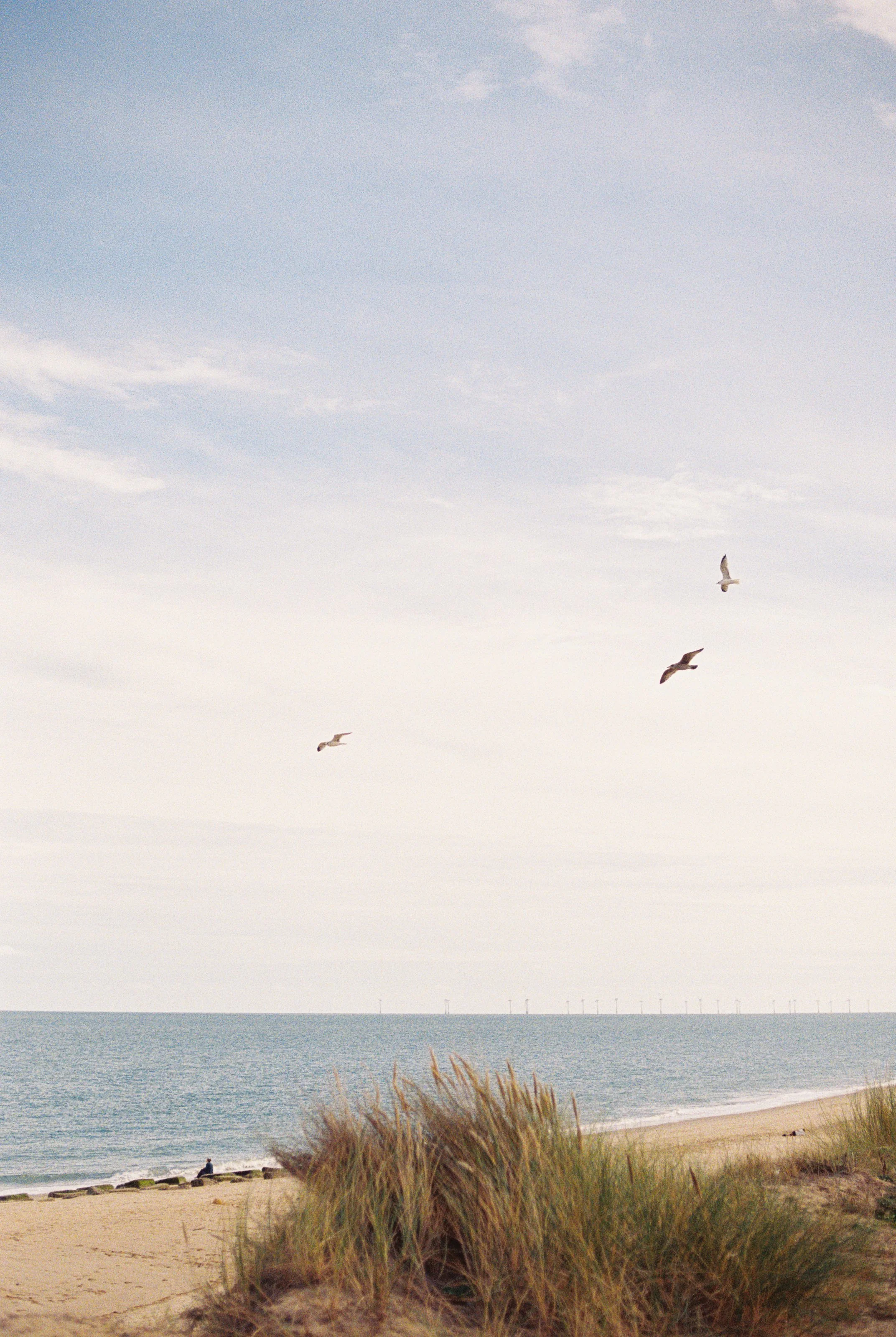 Norfolks coast.jpg