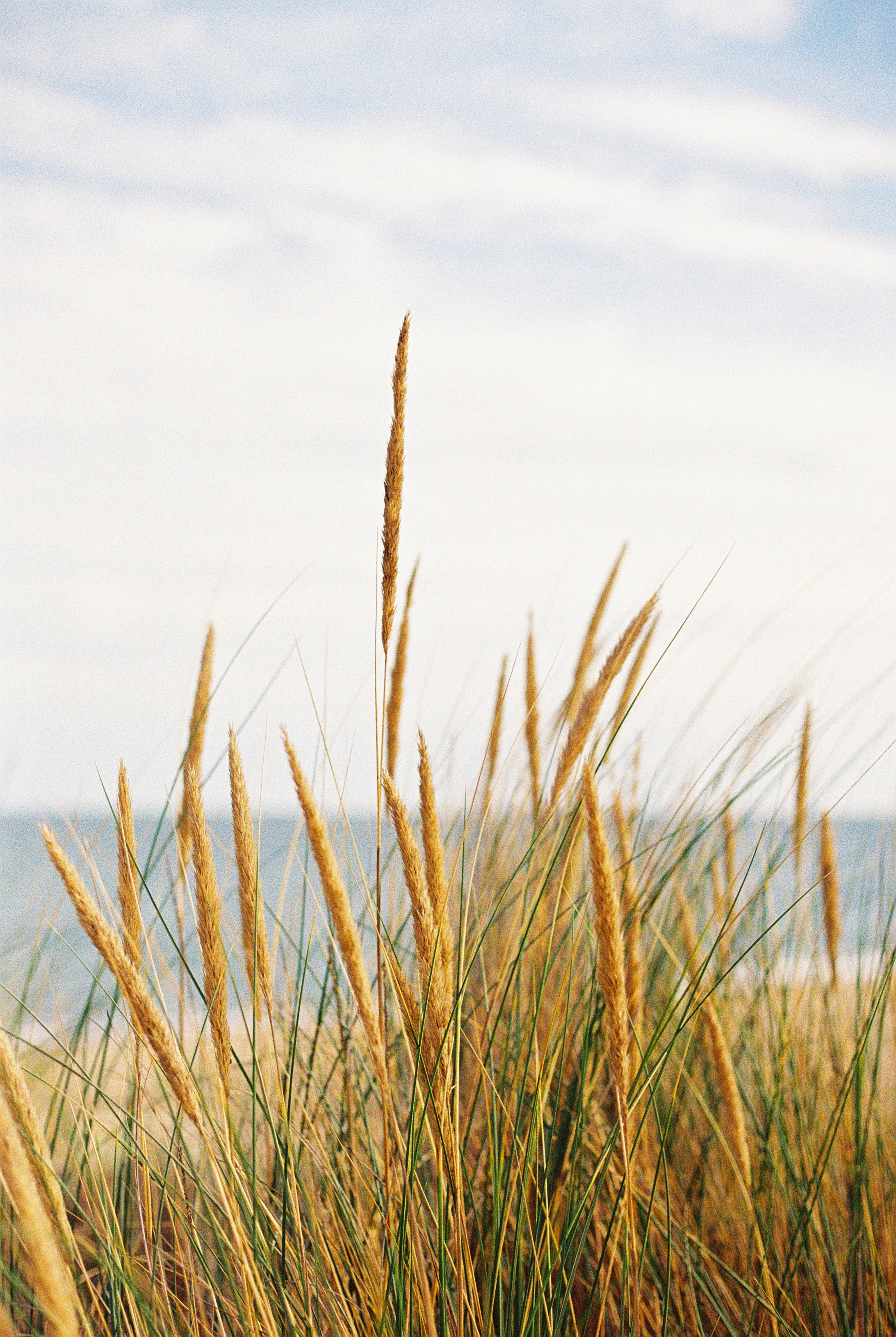 Norfolks coast-13.jpg