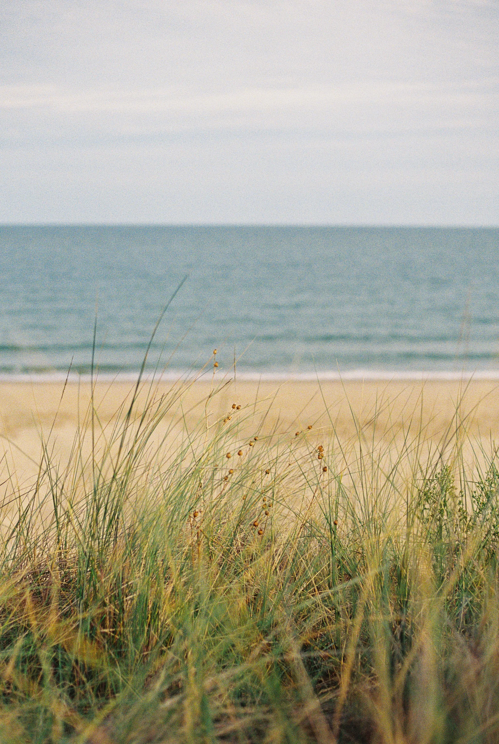 Norfolks coast-5.jpg