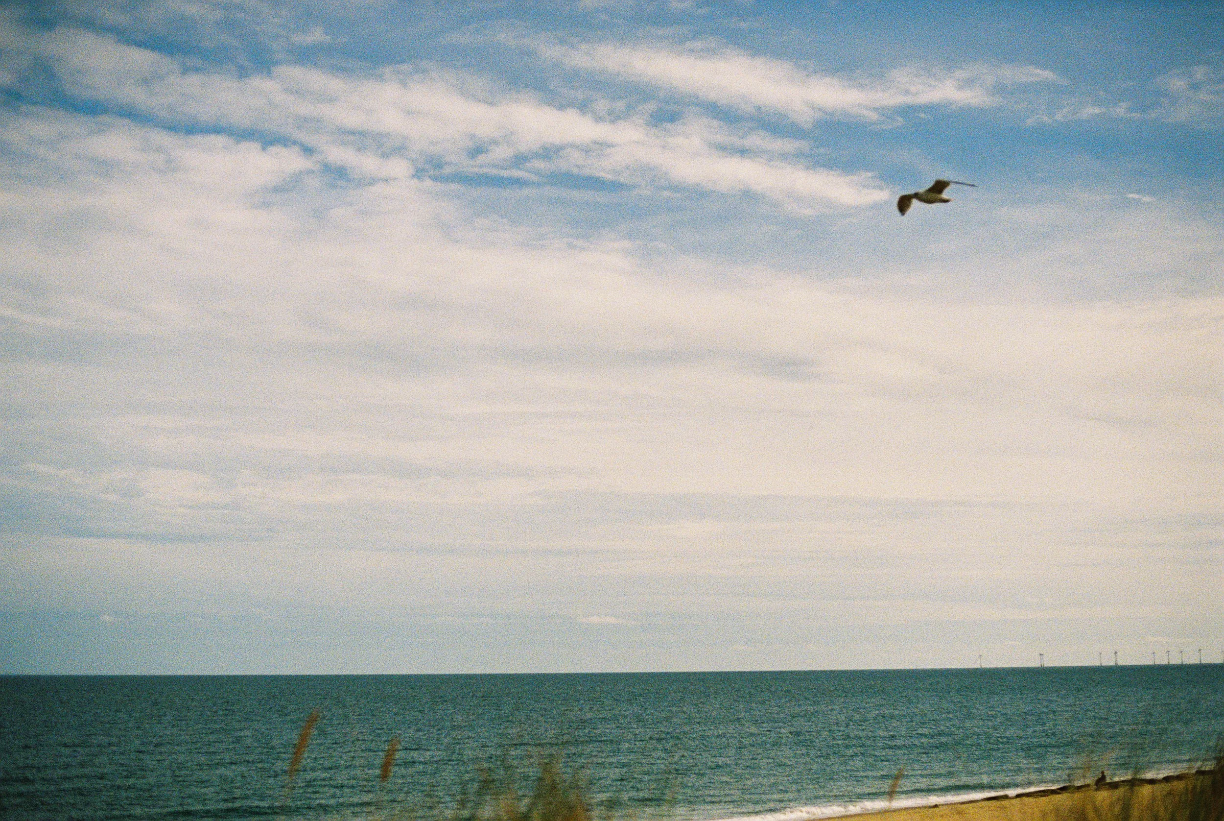 Norfolks coast-12.jpg