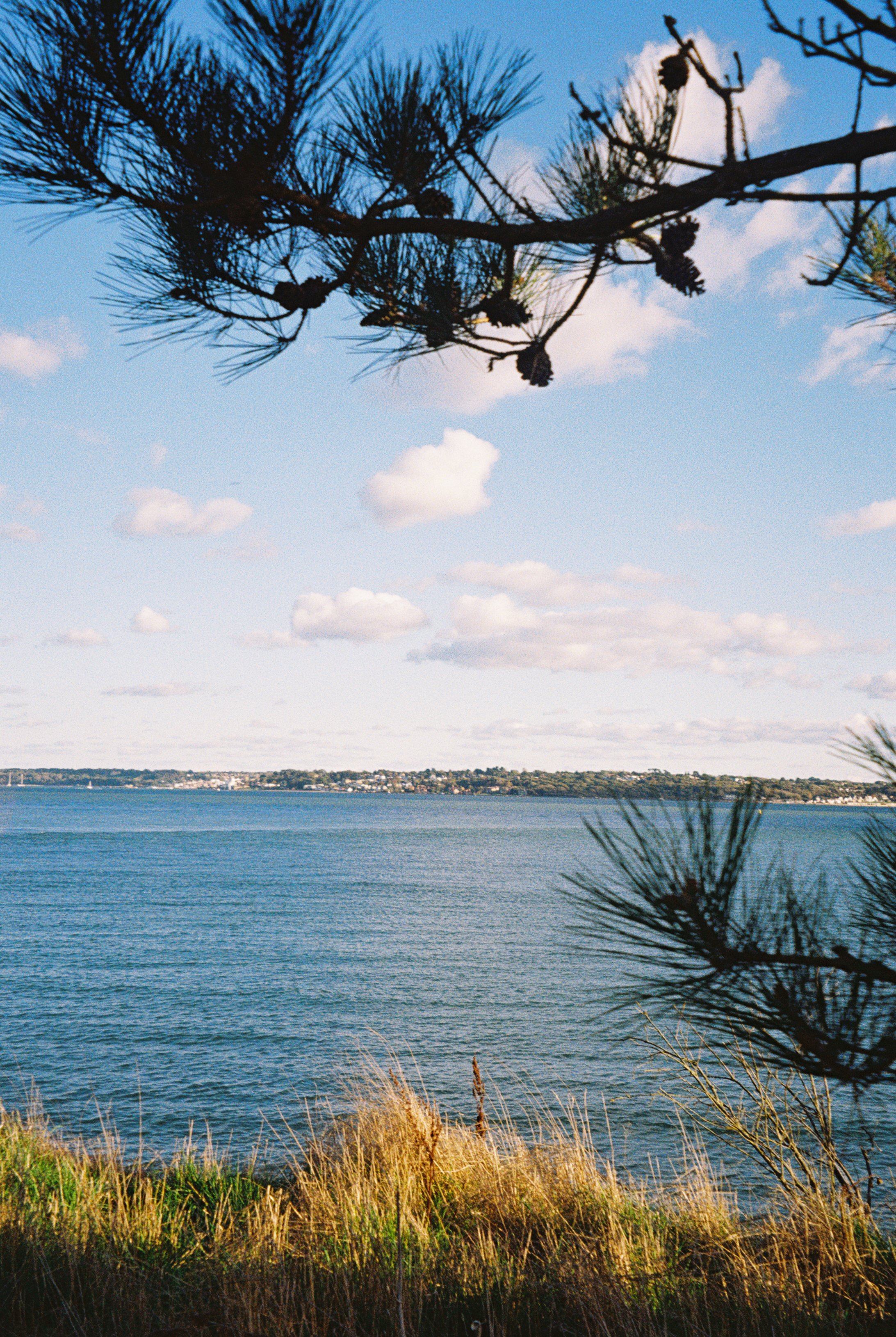 R1-03522-0007-2.jpg