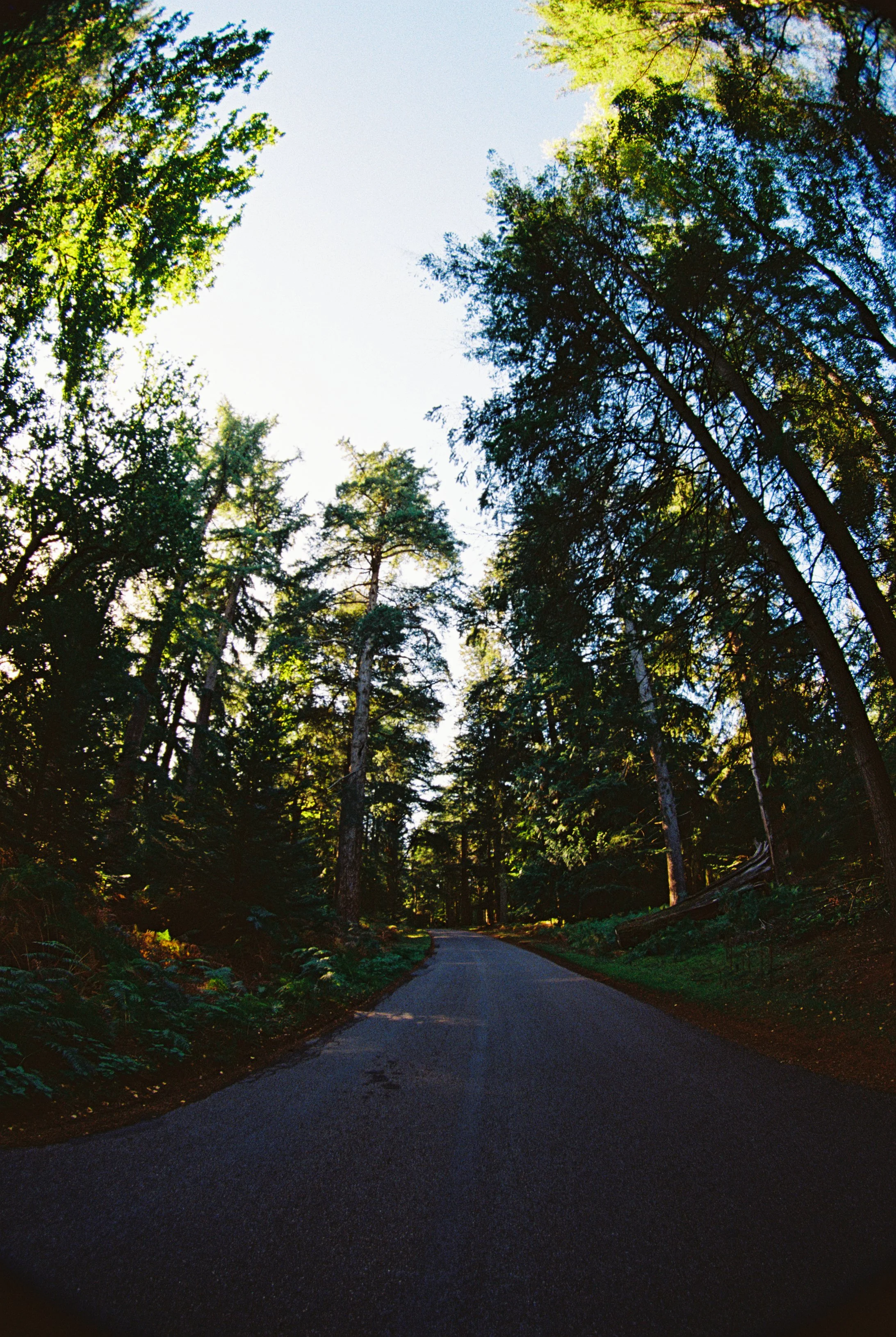 R1-03523-034A.jpg