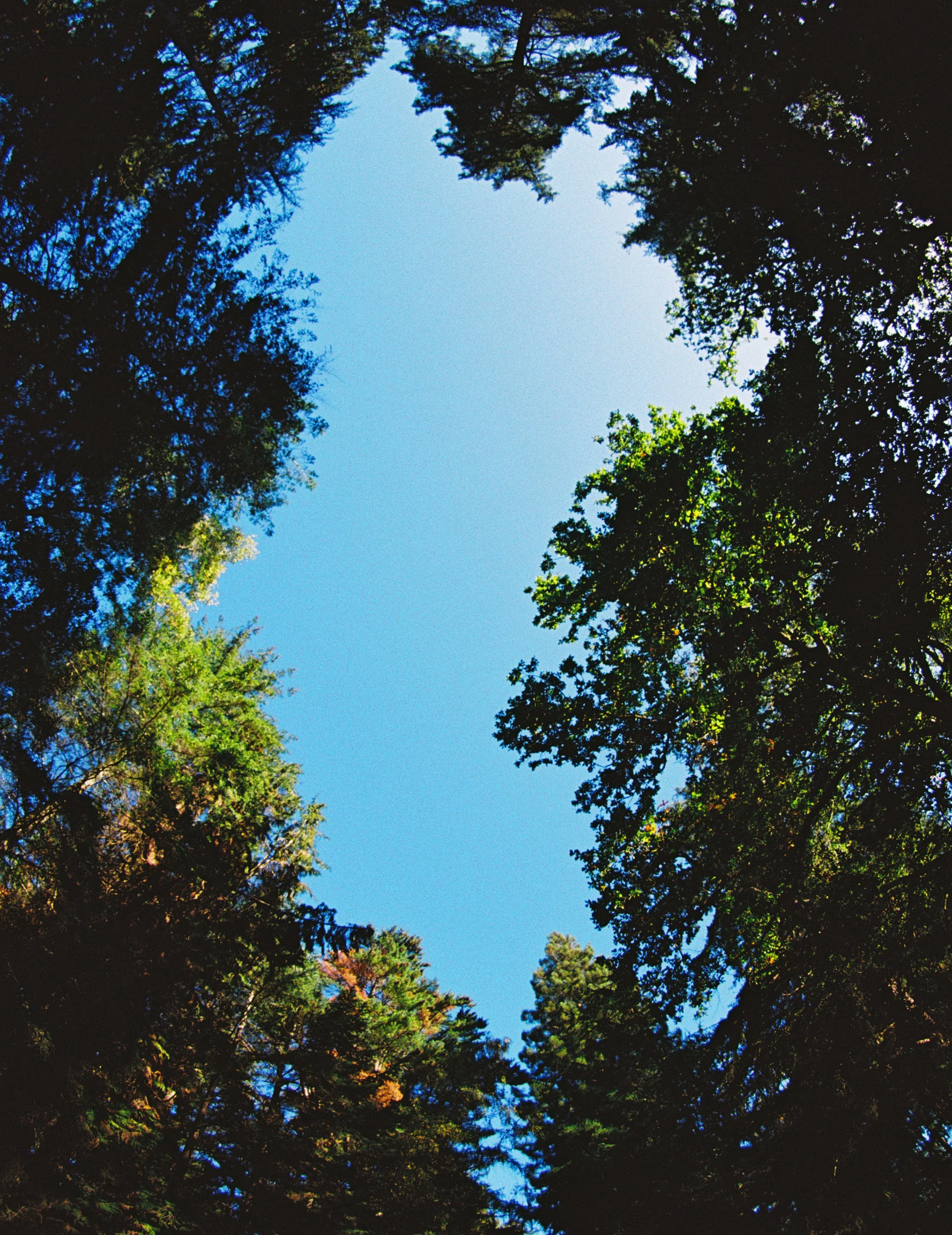 R1-03523-035A.jpg