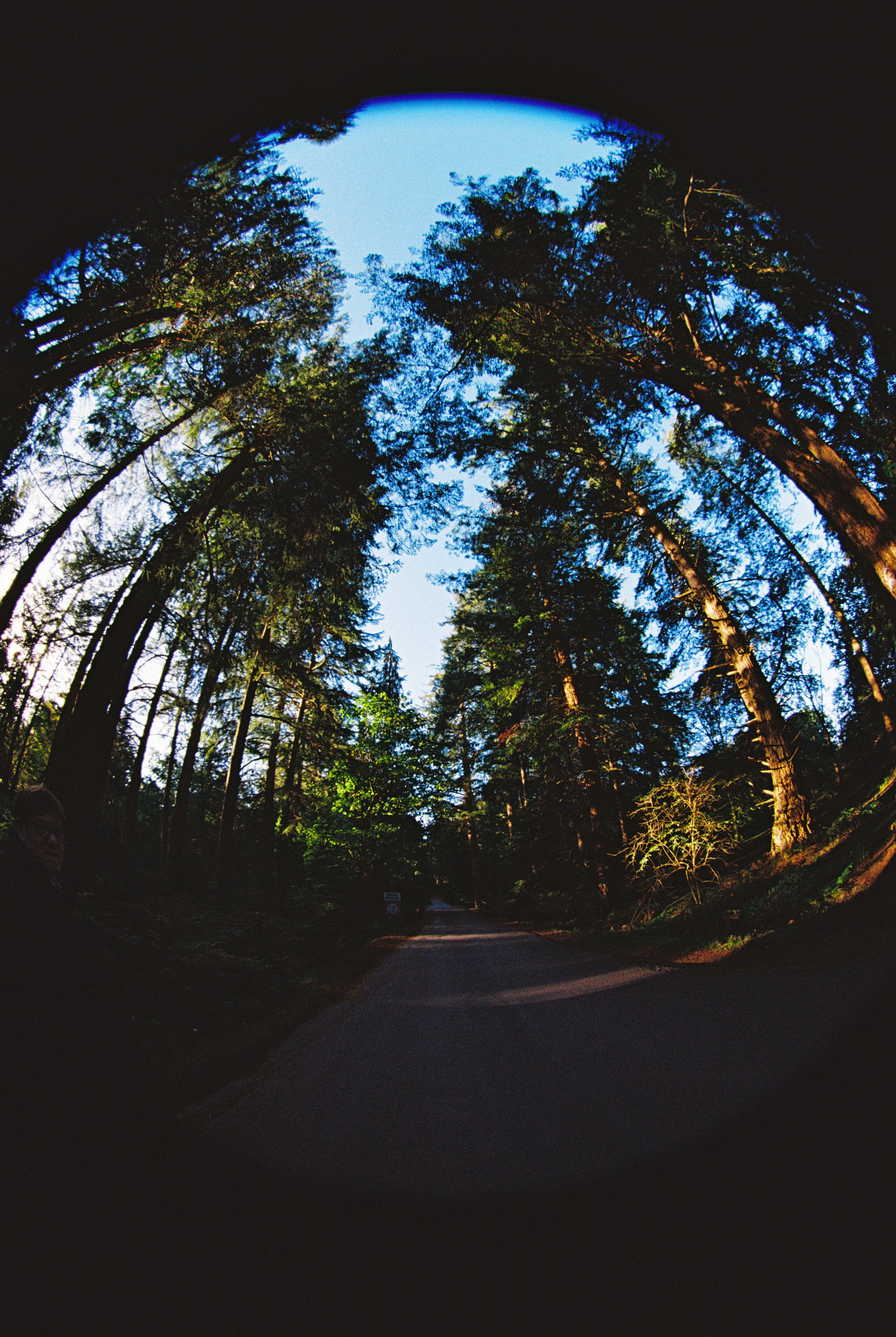 R1-03523-021A.jpg