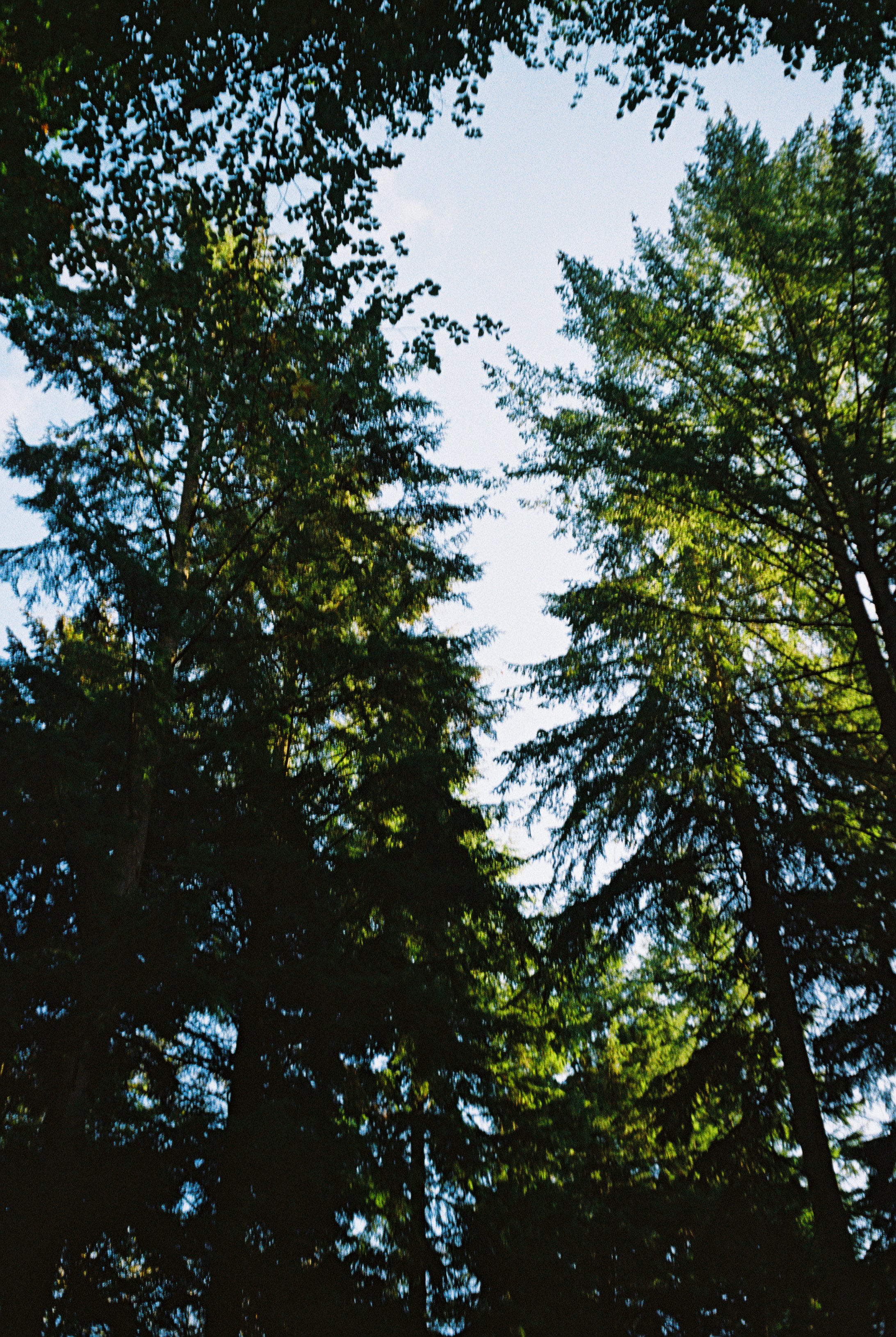 R1-03524-0005.jpg