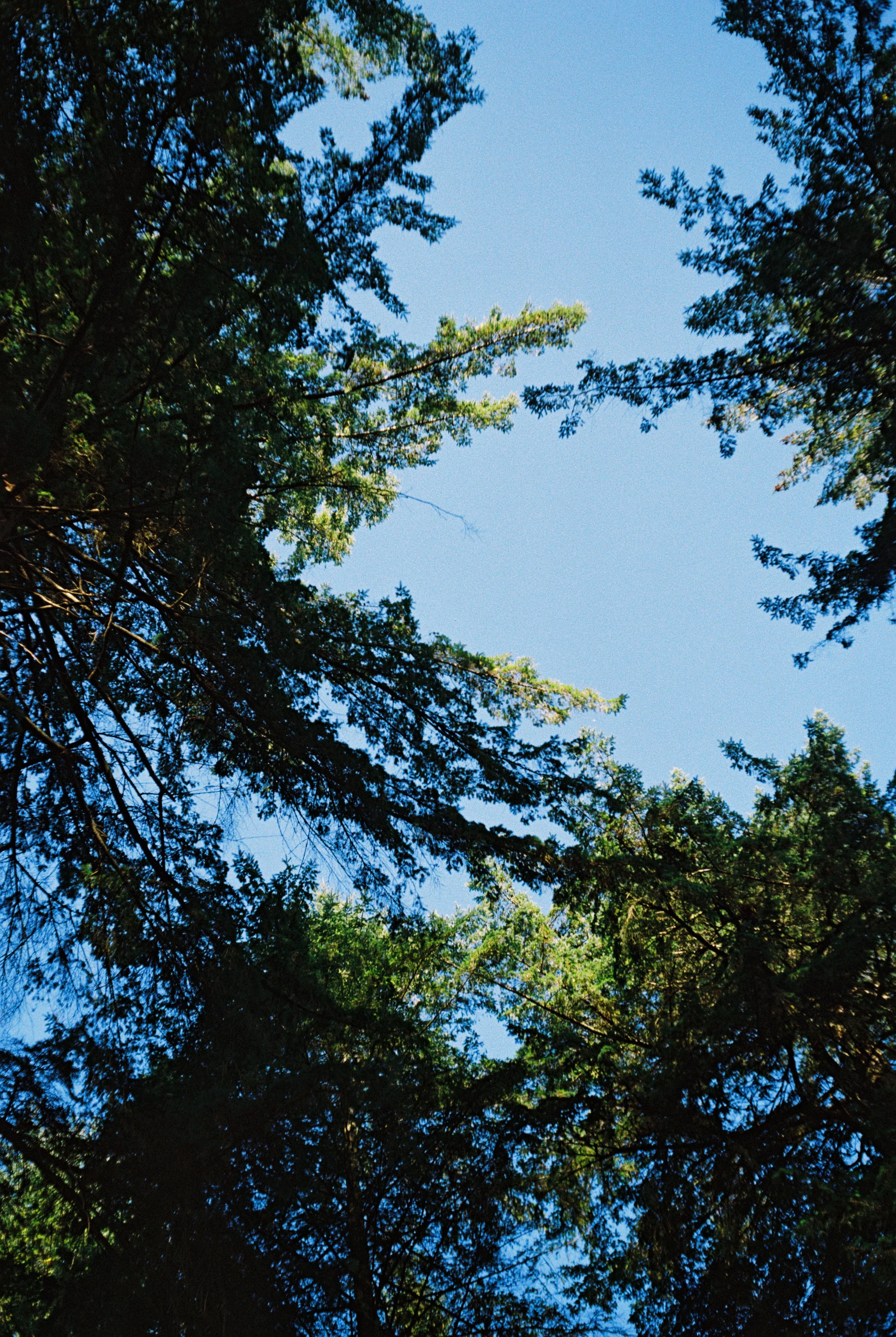 R1-03524-0014.jpg