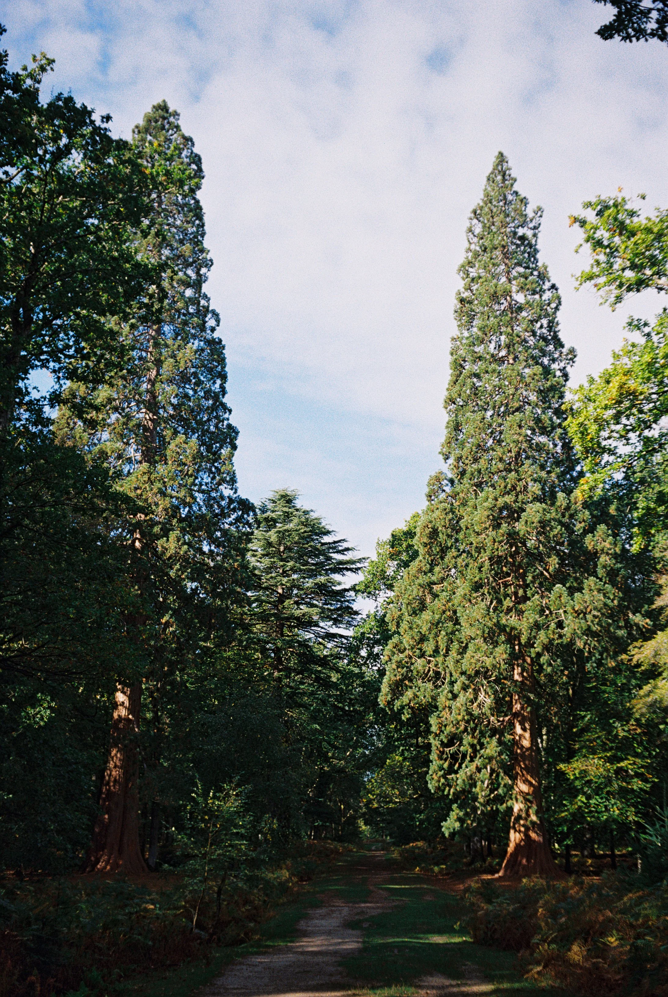 R1-03524-0020.jpg