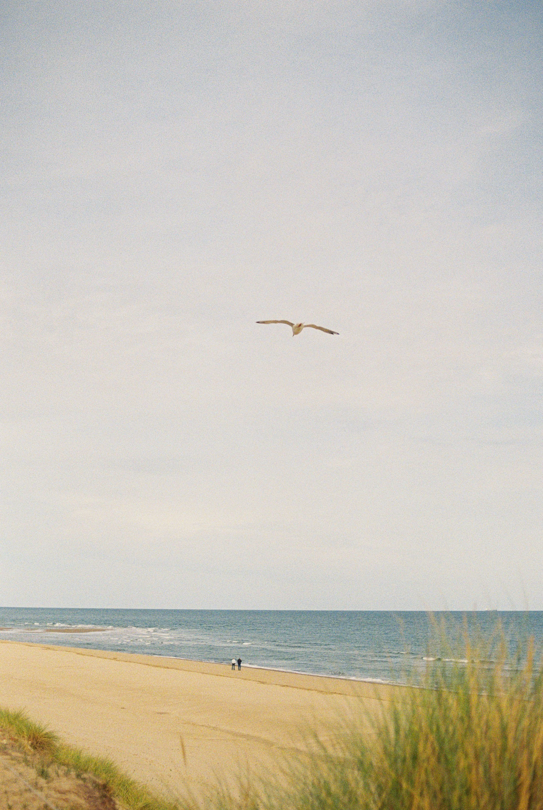 annie-spratt-aojUenWFgpE-unsplash.jpg