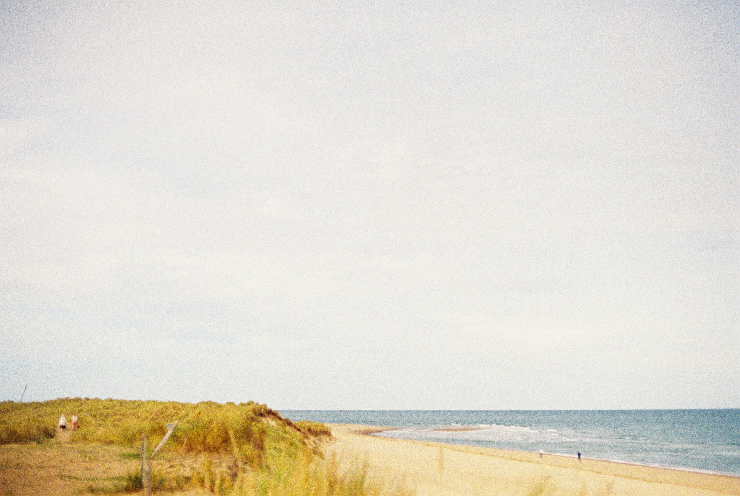 annie-spratt-XkGhK8L7CuE-unsplash.jpg