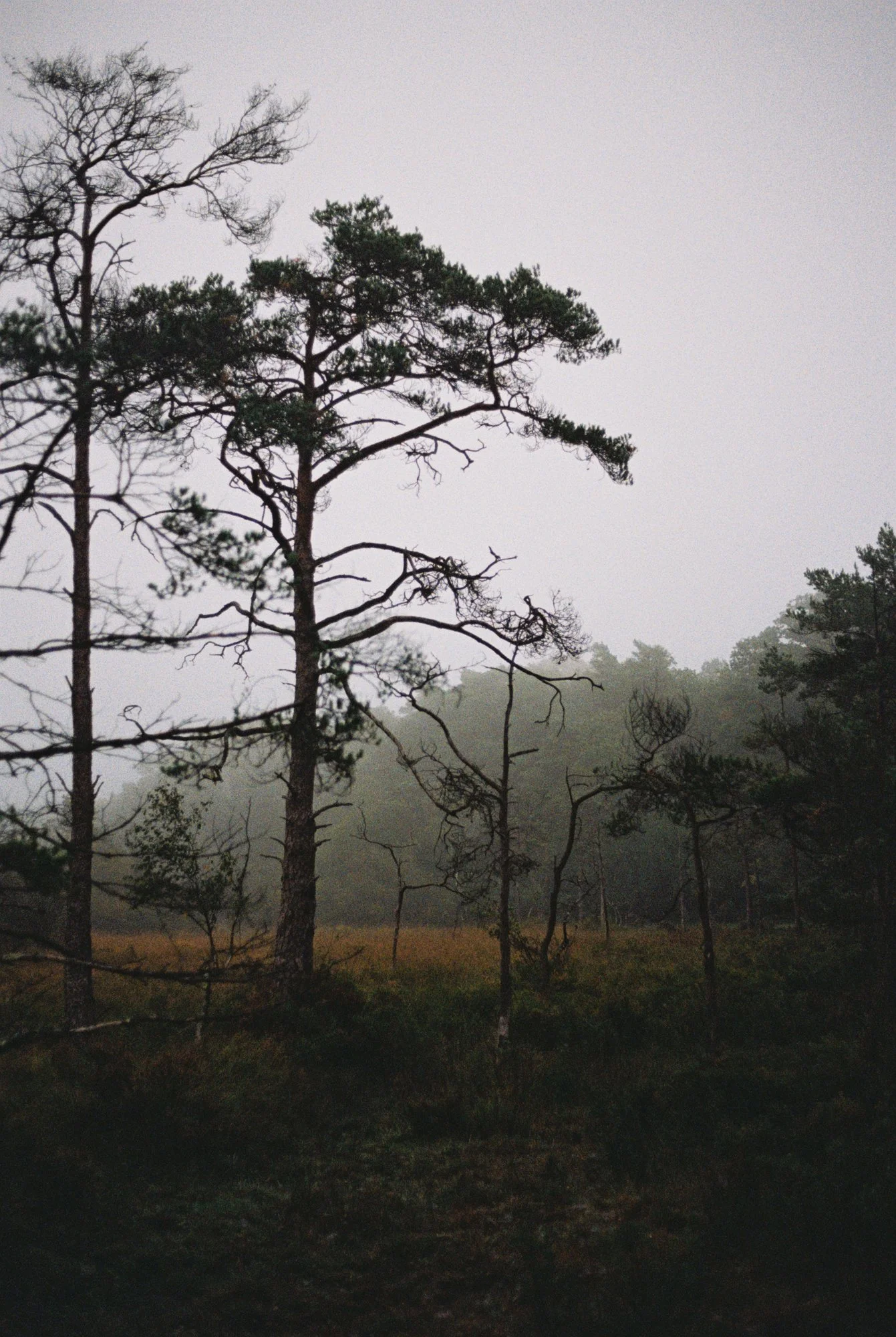 R1-03527-017A.jpg