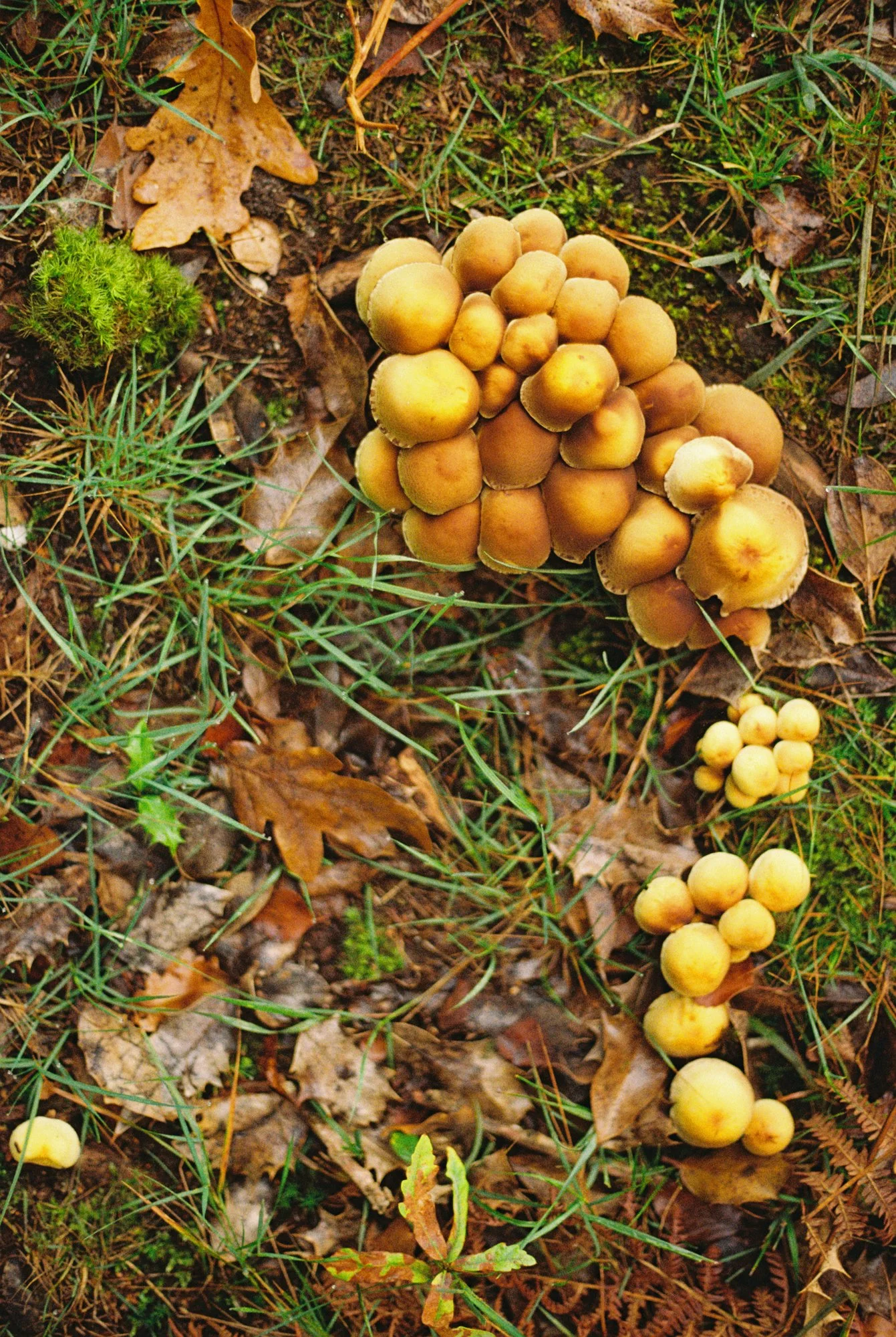R1-03527-009A.jpg
