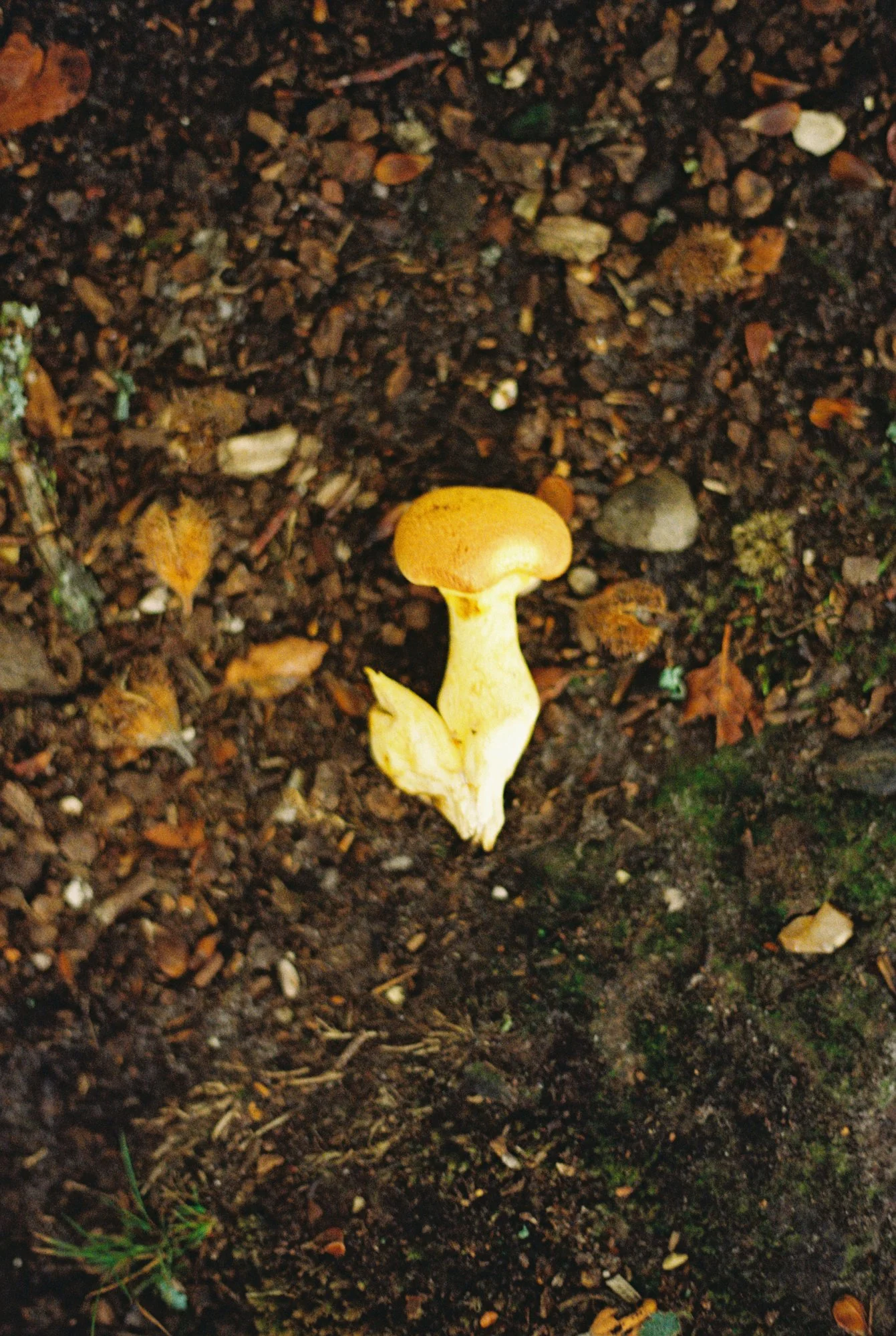 R1-03527-019A.jpg