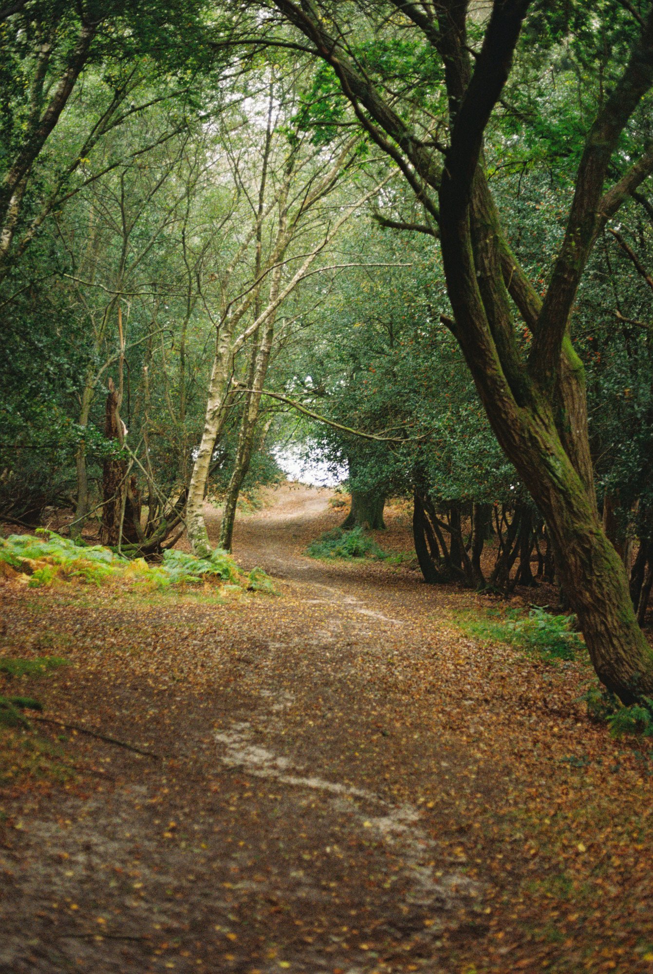 R1-03527-023A.jpg