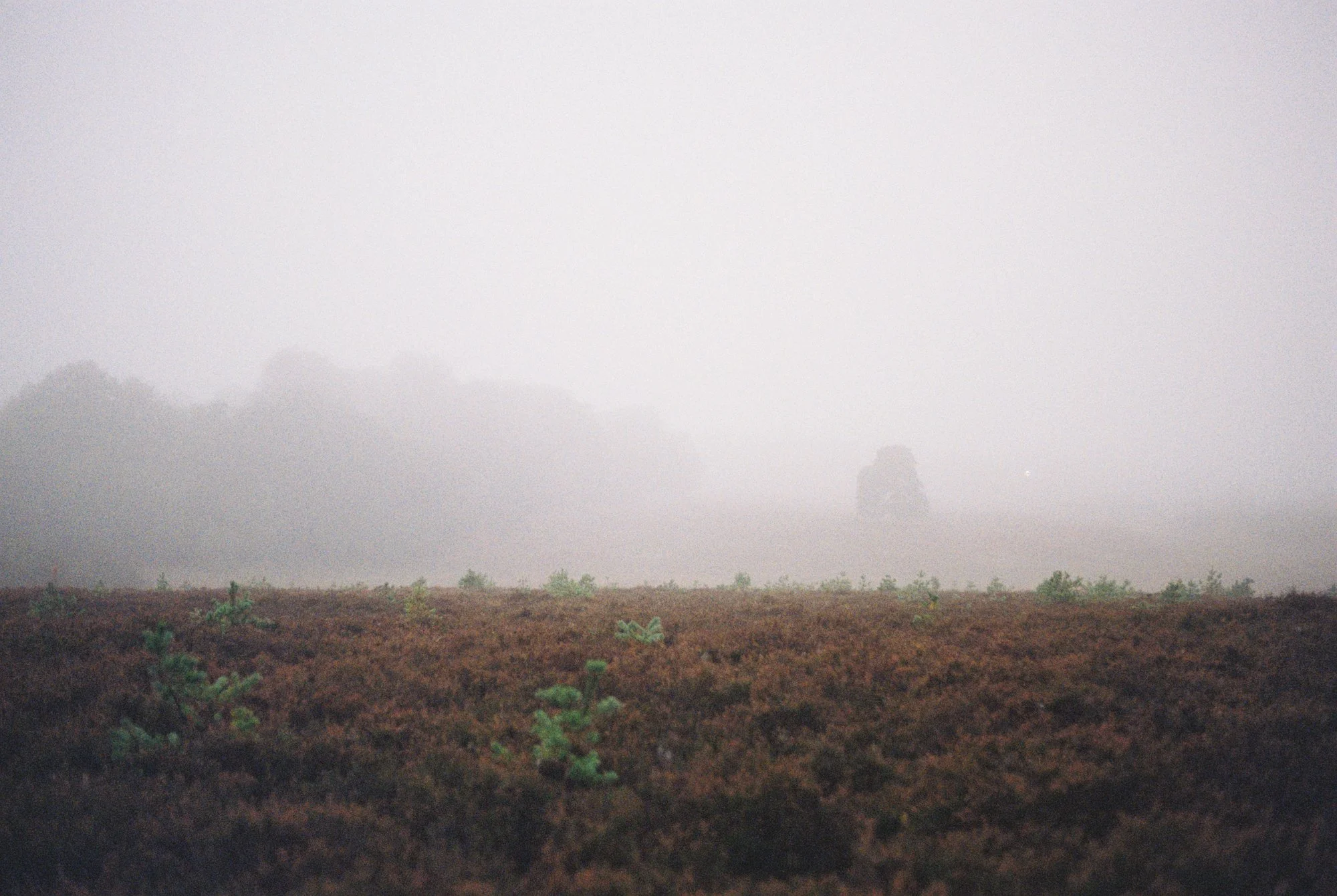 R1-03527-012A.jpg