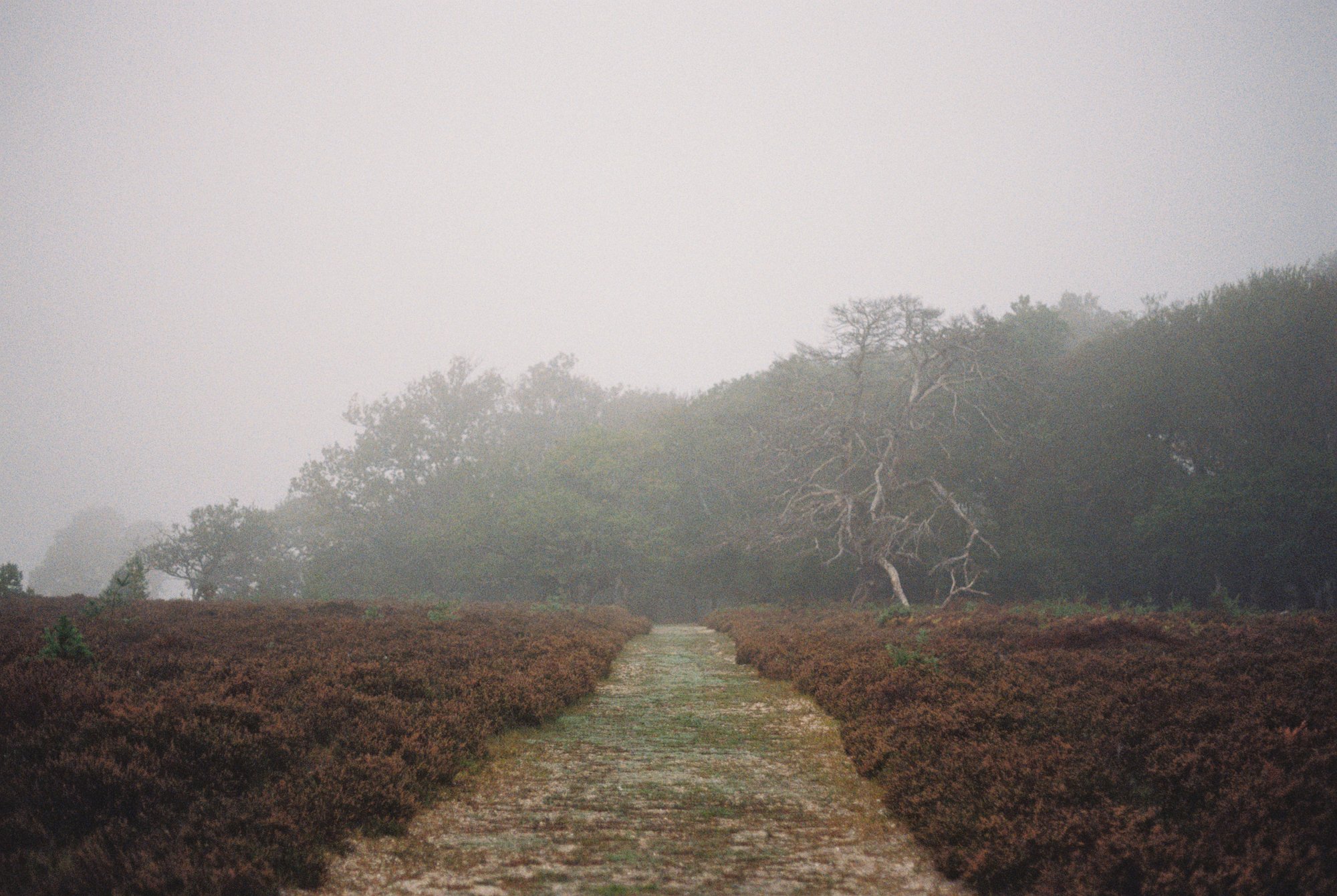 R1-03527-013A.jpg