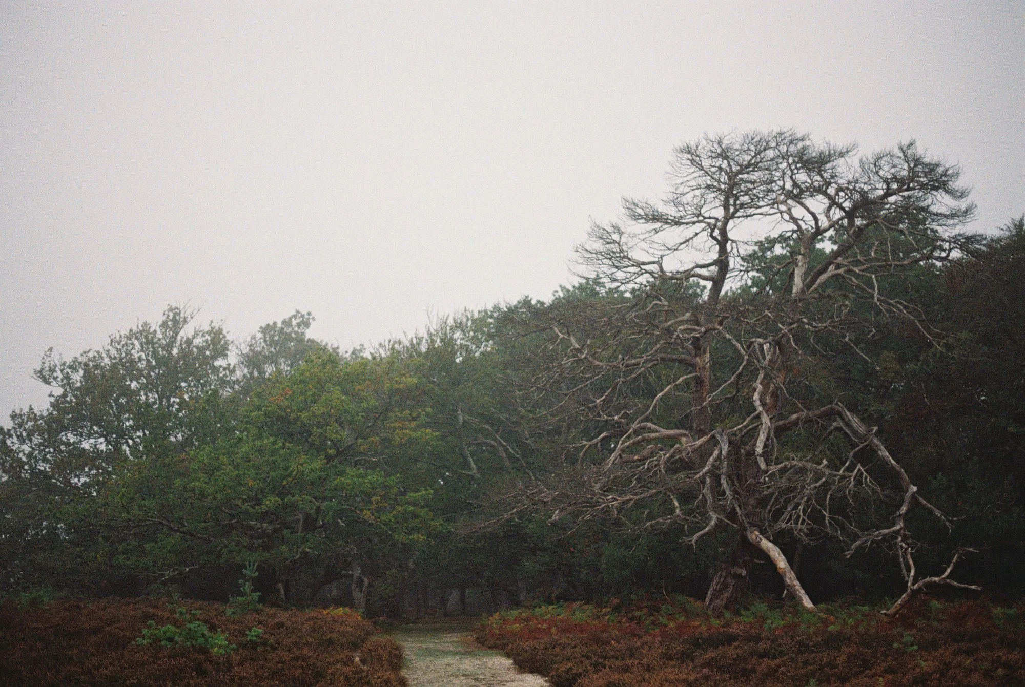 R1-03527-033A.jpg