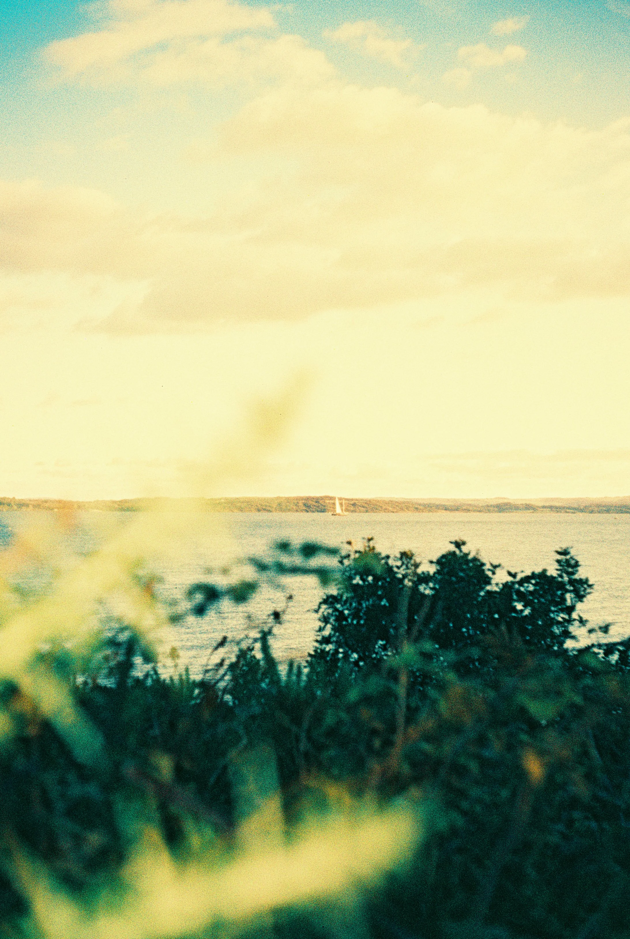 R1-03526-030A.jpg