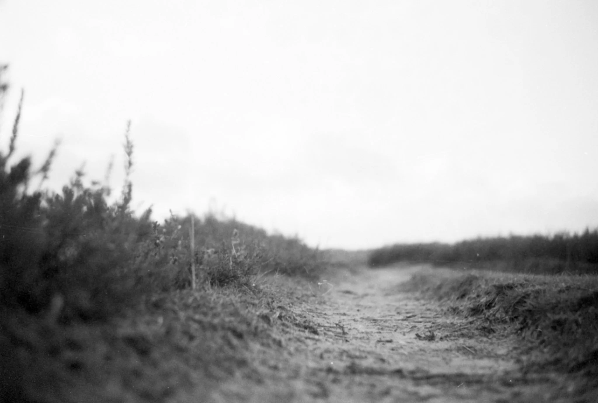 Black & white film photo shot on Rollei Retro 400S 35mm film