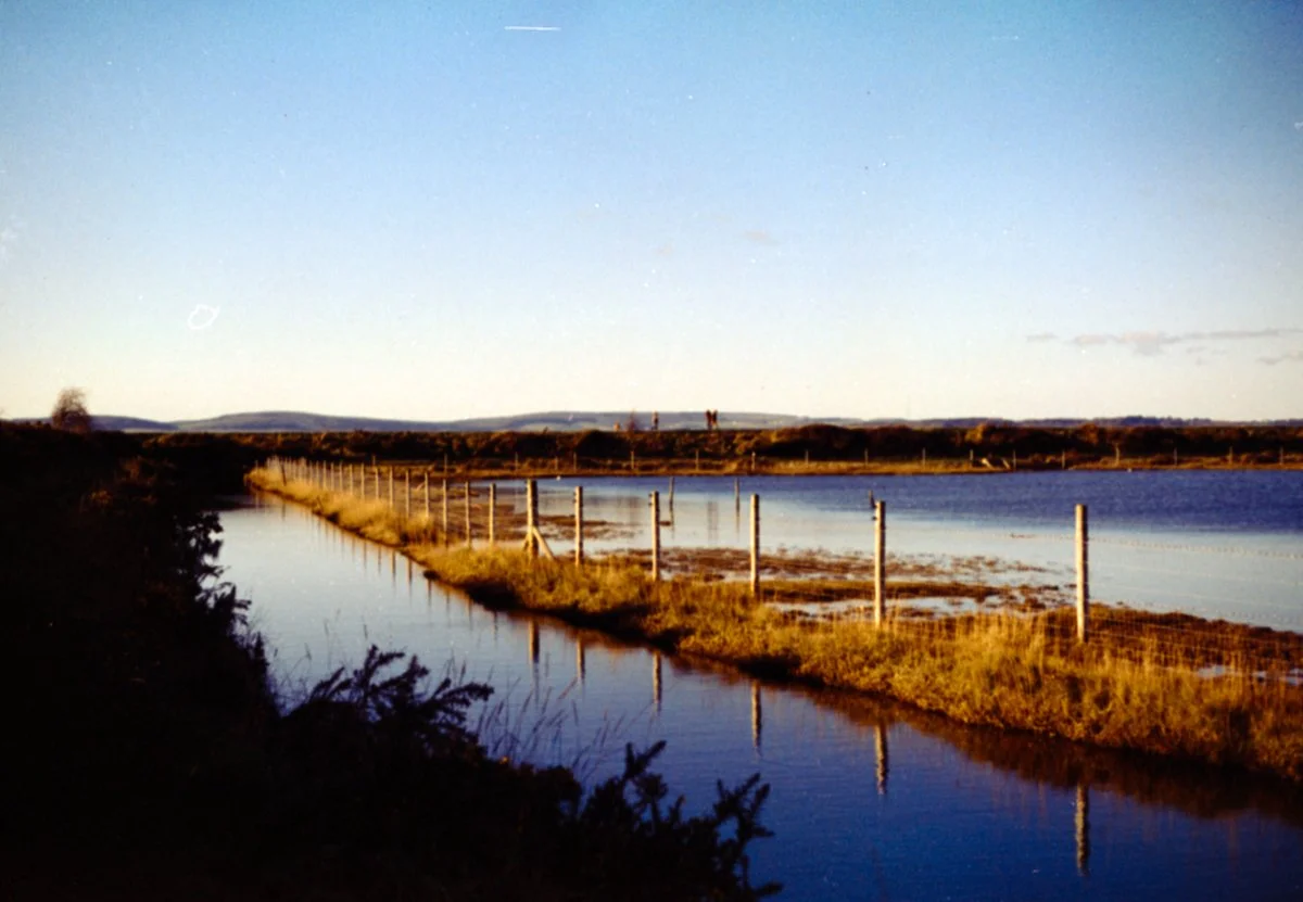 35mm color film photo using RETO Amber D100 film