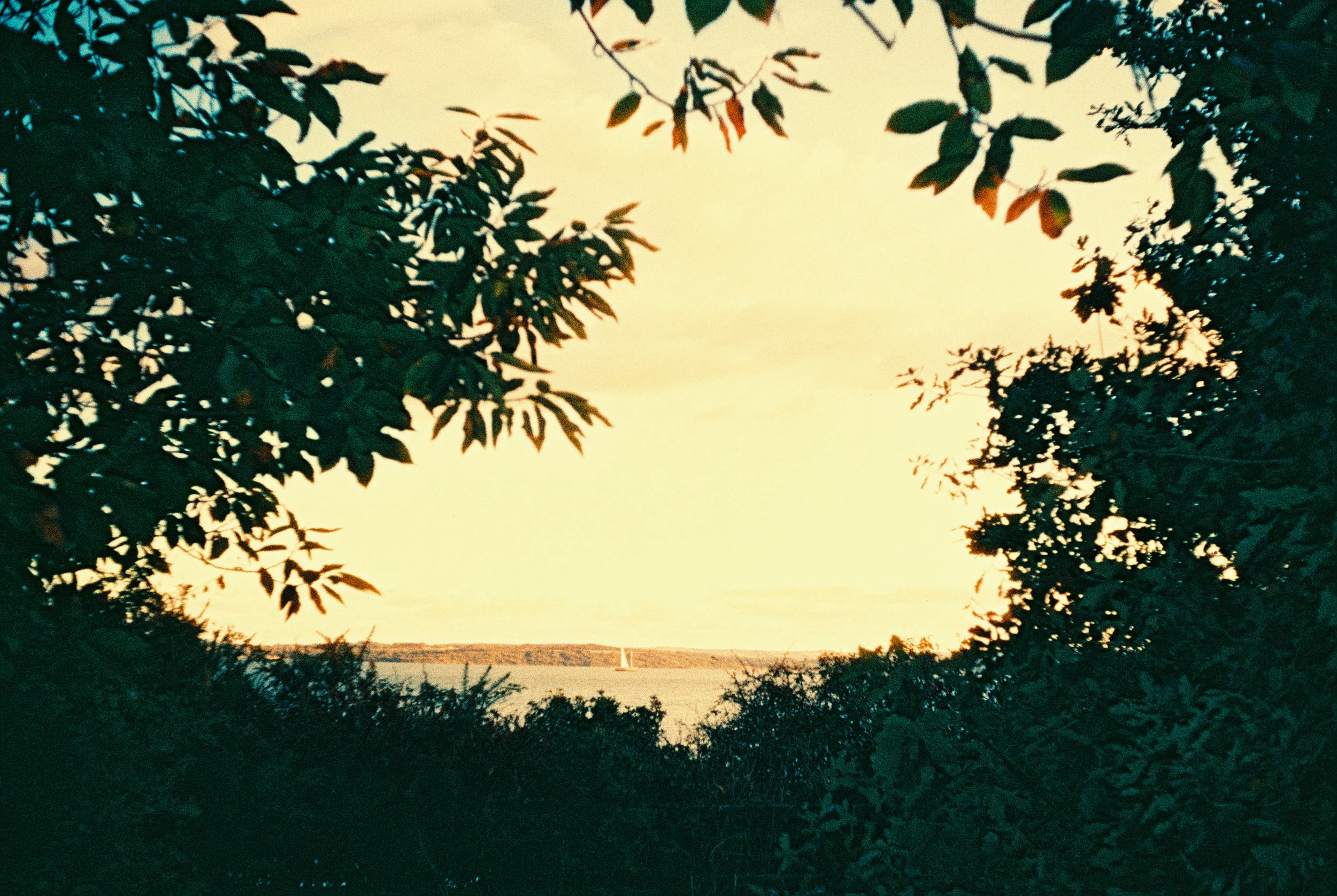 R1-03526-029A.jpg