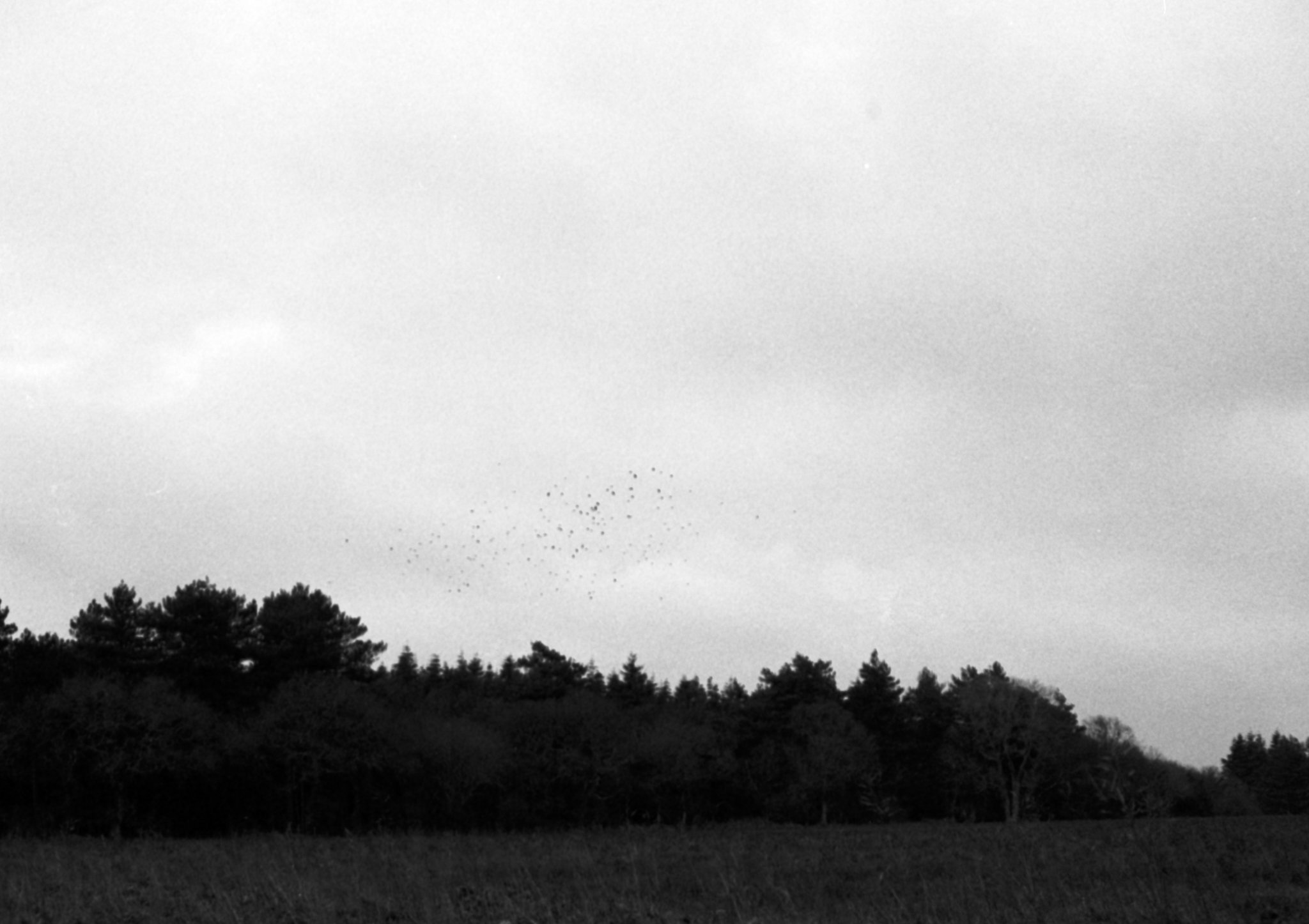 Film photo shot on Ilford HP5 Plus