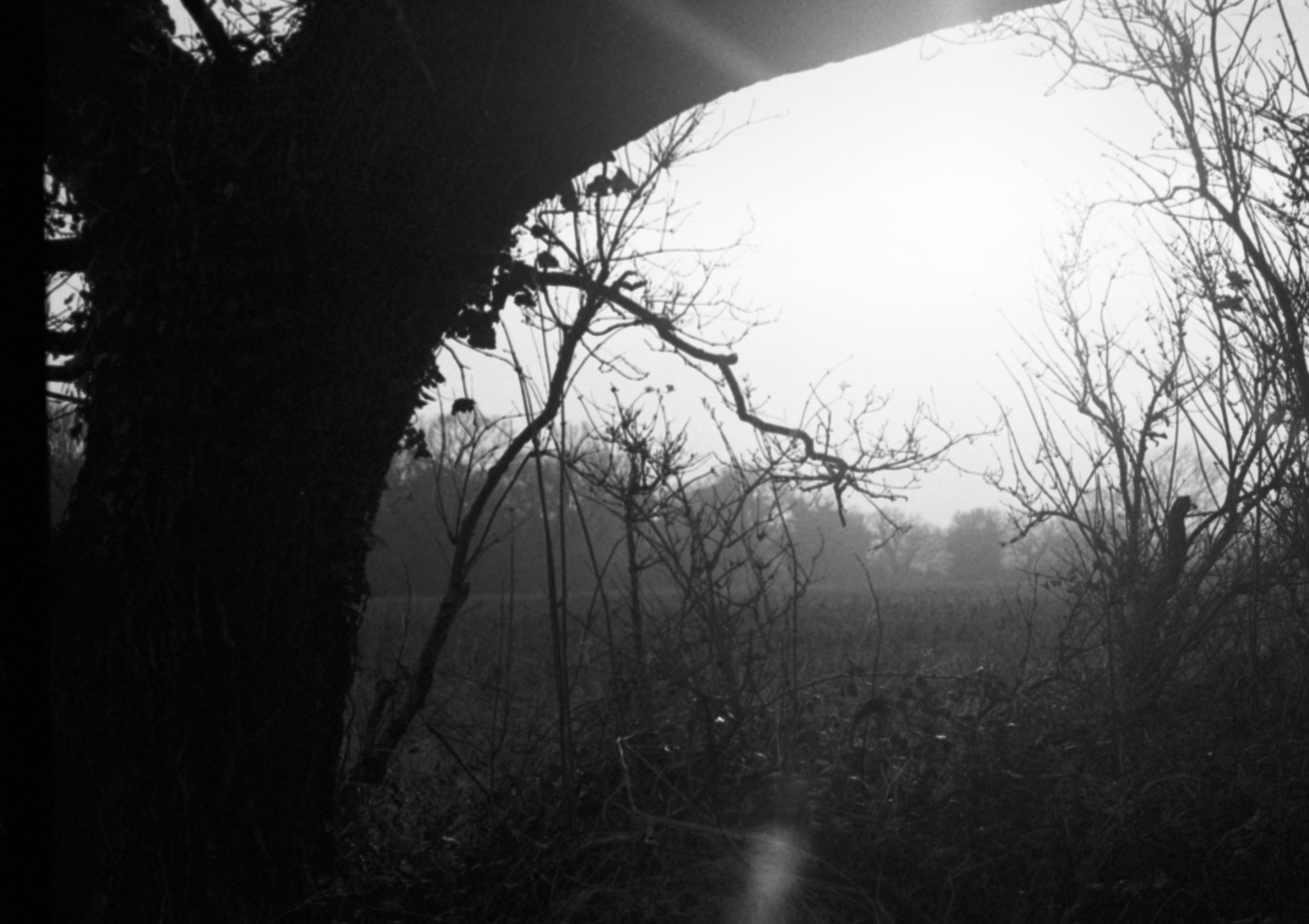 Film photo shot on Ilford HP5 Plus