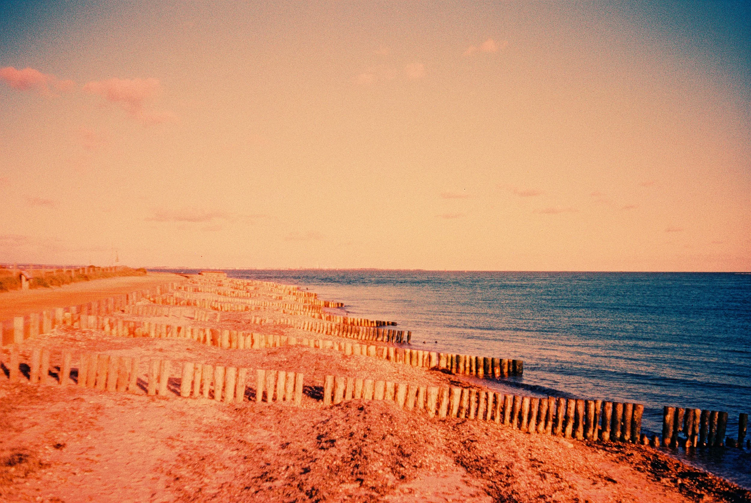 R1-03526-005A.jpg