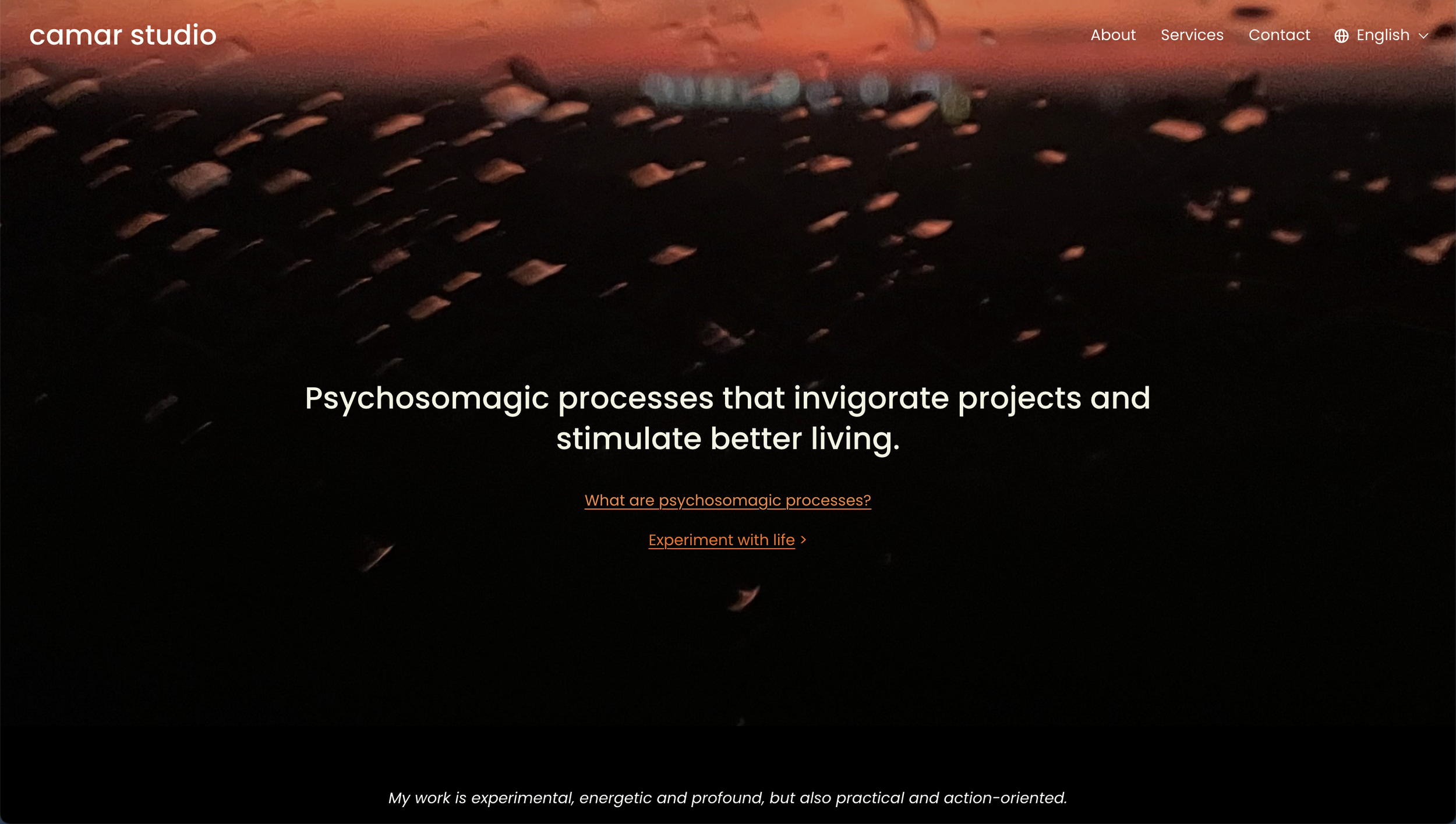 Screenshot 2025-01-24 at 2.40.47 PM.png
