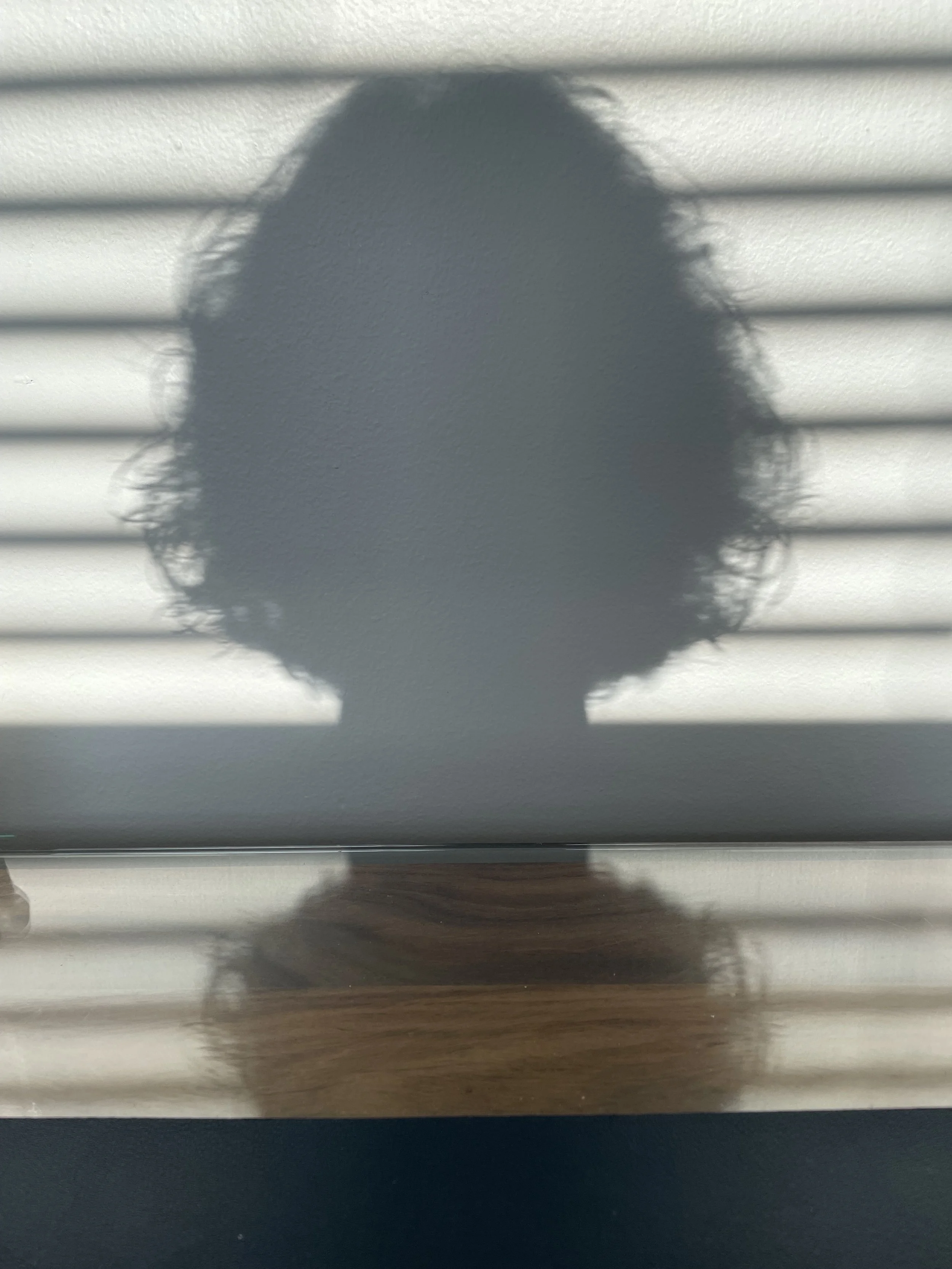 Nancy Schneider, Dummy, Digital C-print, 2025