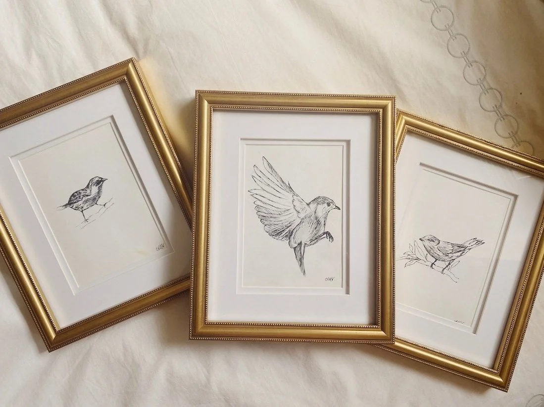 3bird+collection+.jpg