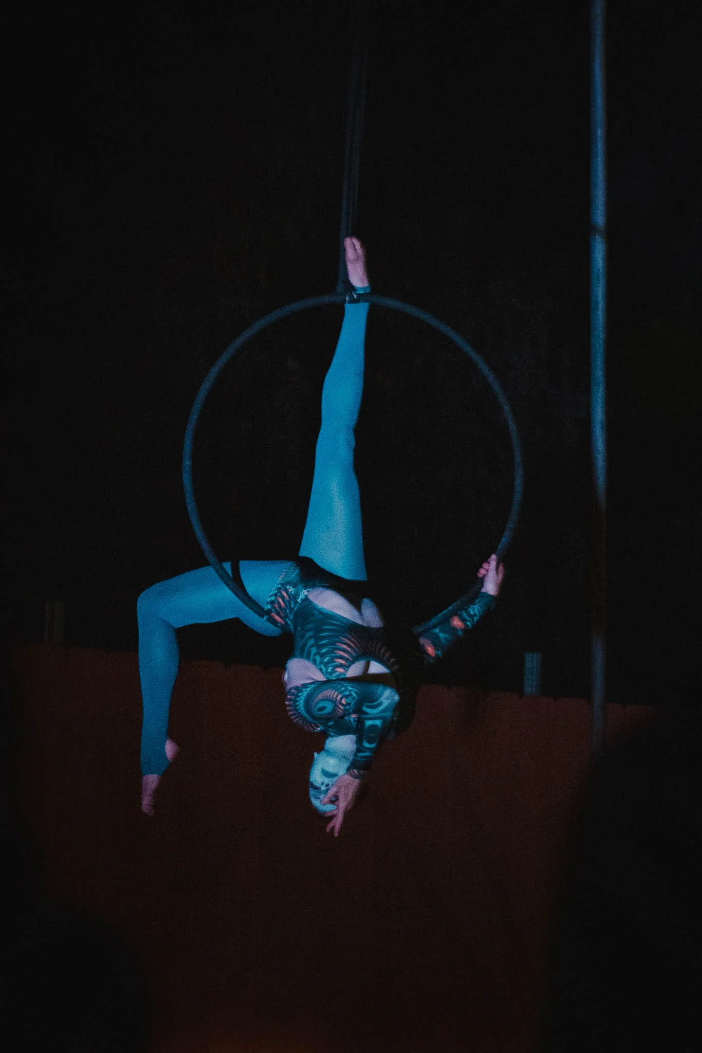 ALICE IN WONDERLAND: PART II